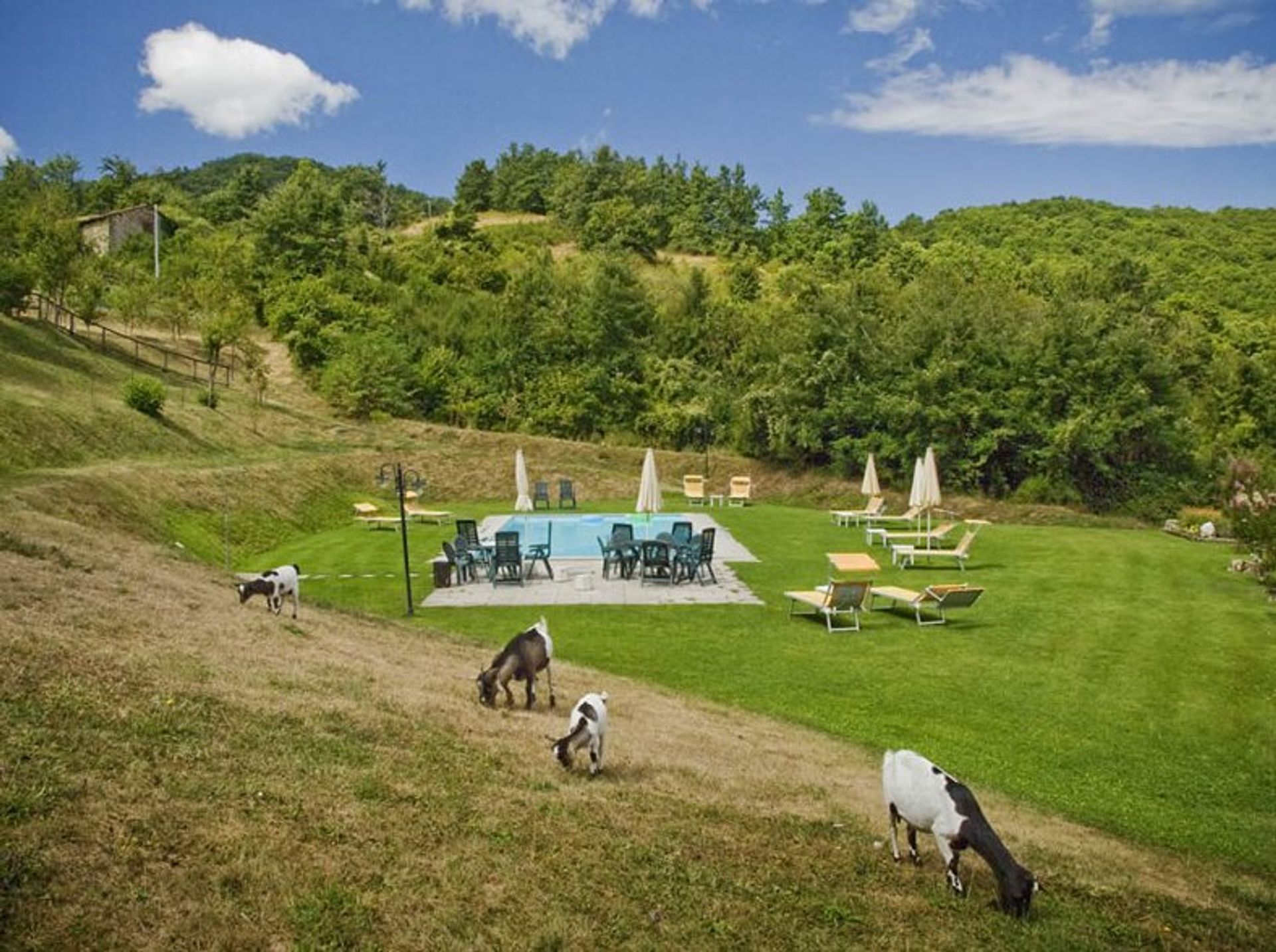 Συγκυριαρχία σε Piazza al Serchio, Tuscany 10129508