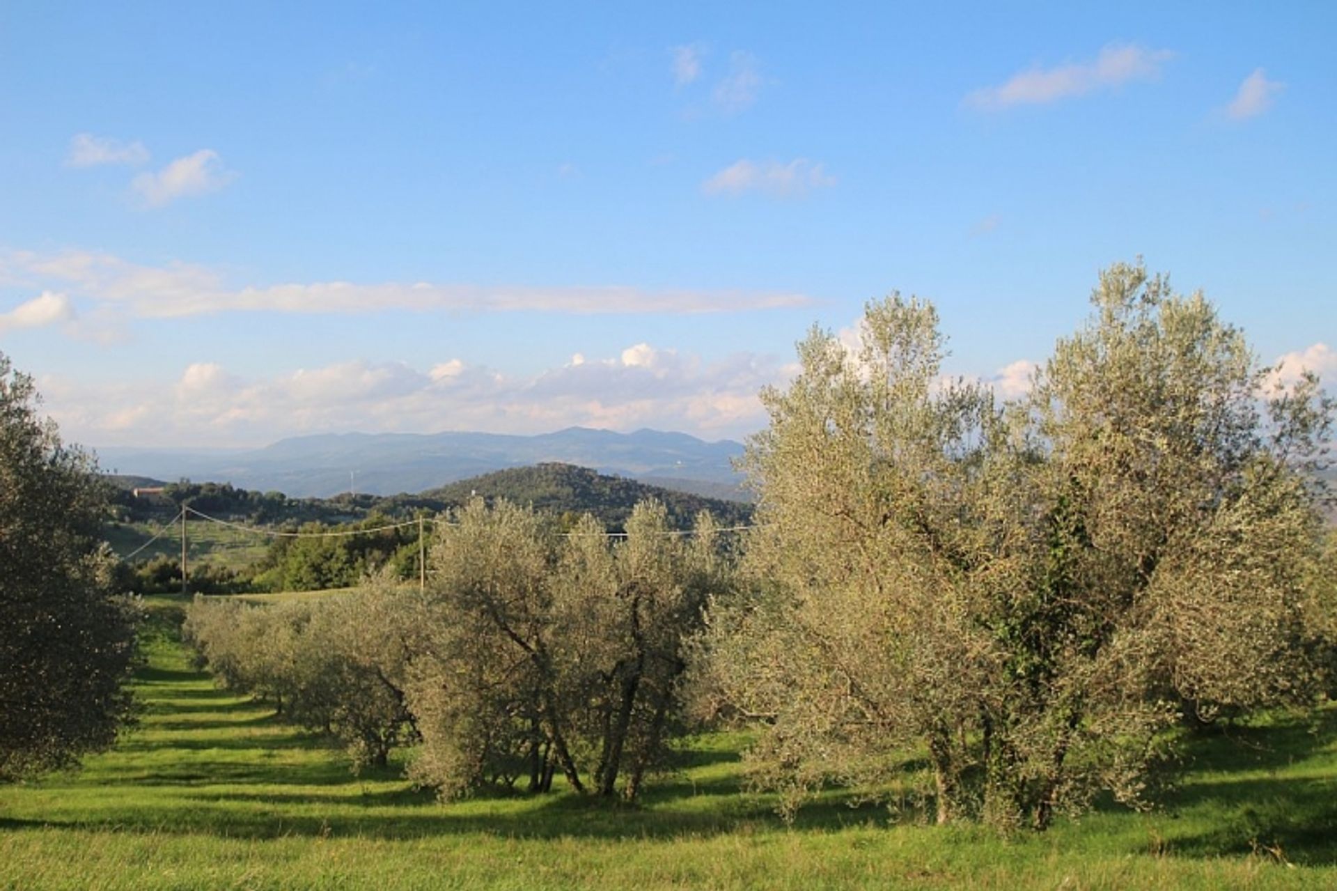 بيت في Pomarance, Tuscany 10129551