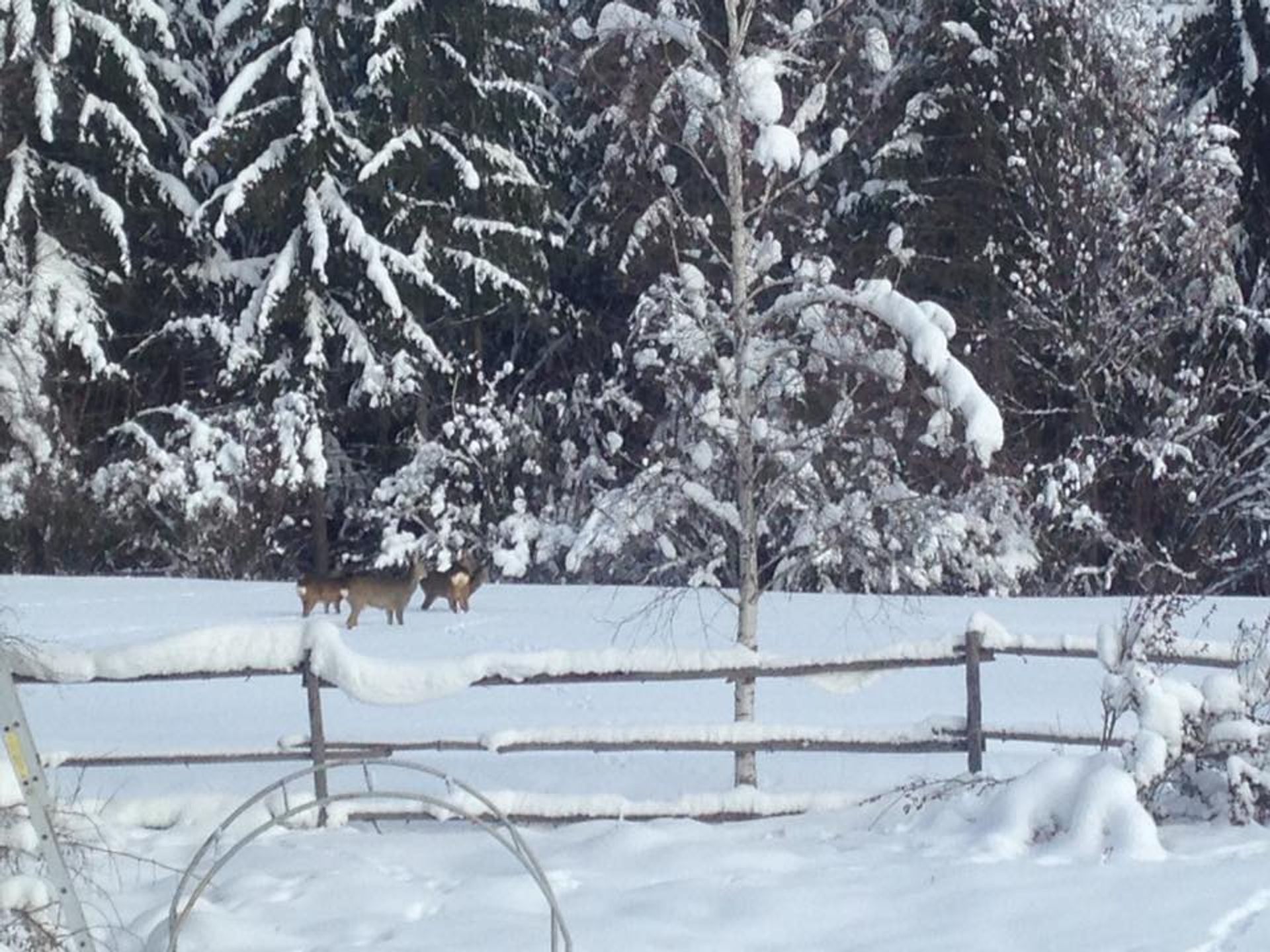 Συγκυριαρχία σε Vărșag, Harghita County 10129701