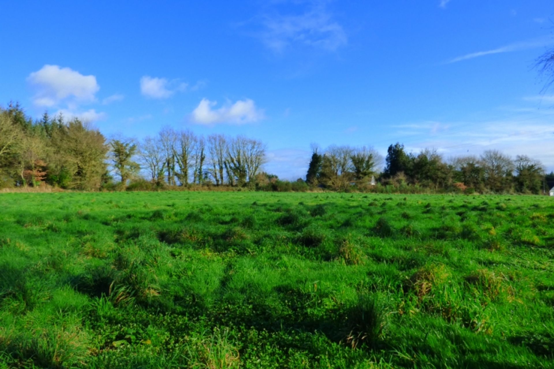 Land im Ploermel, Bretagne 10129879