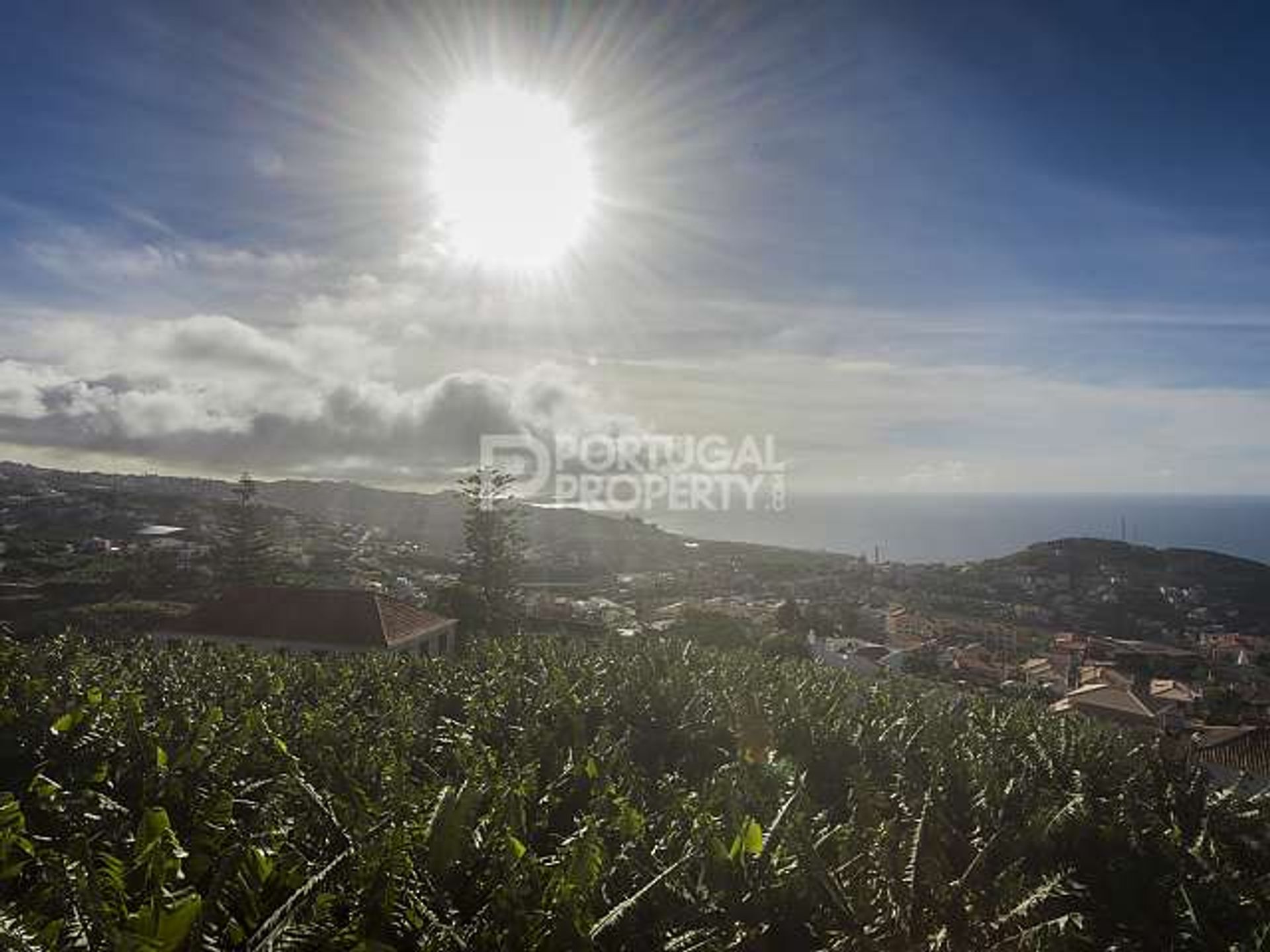 жилой дом в Câmara De Lobos, Madeira 10130325