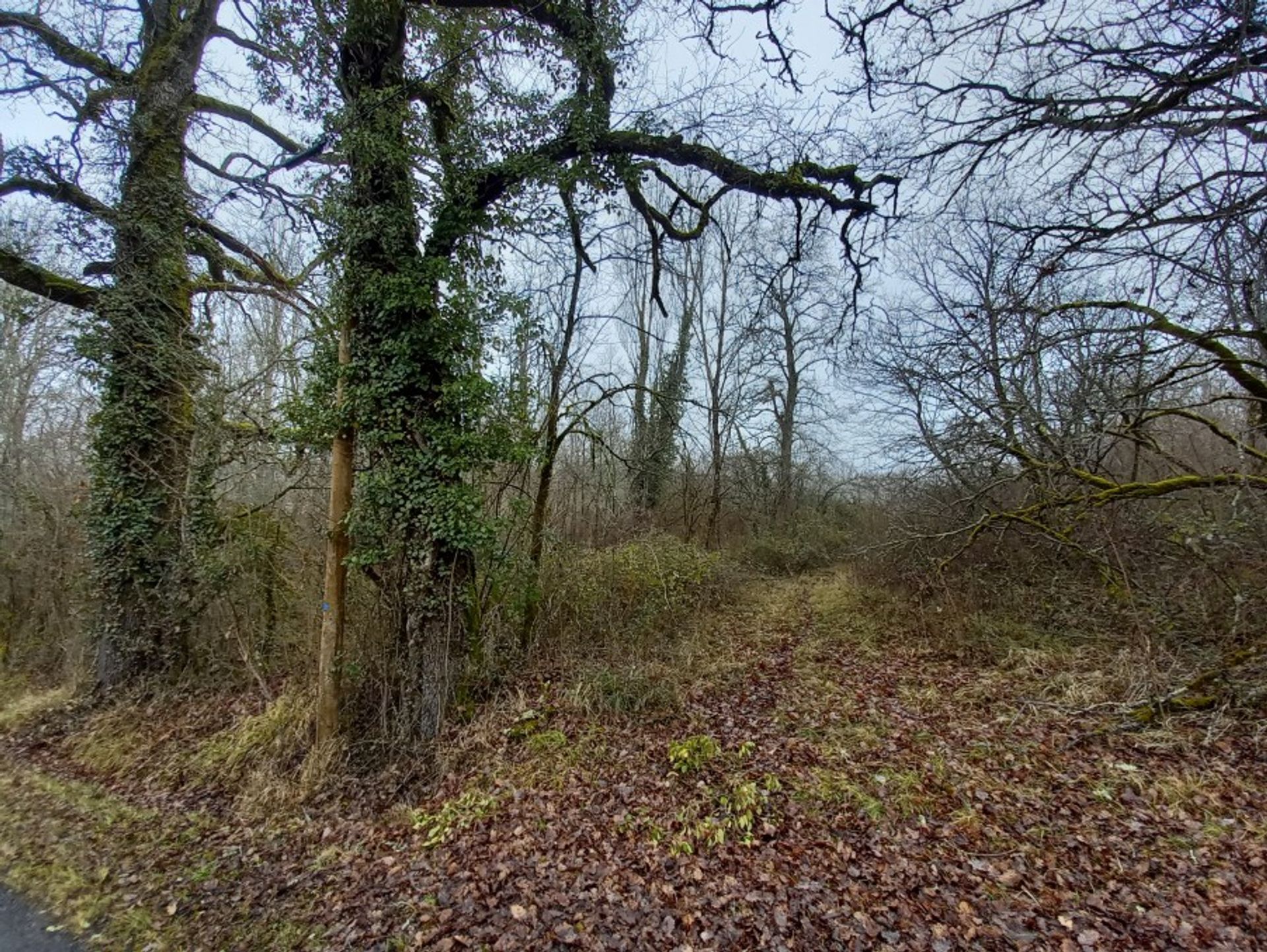 بيت في Villeréal, Nouvelle-Aquitaine 10130491