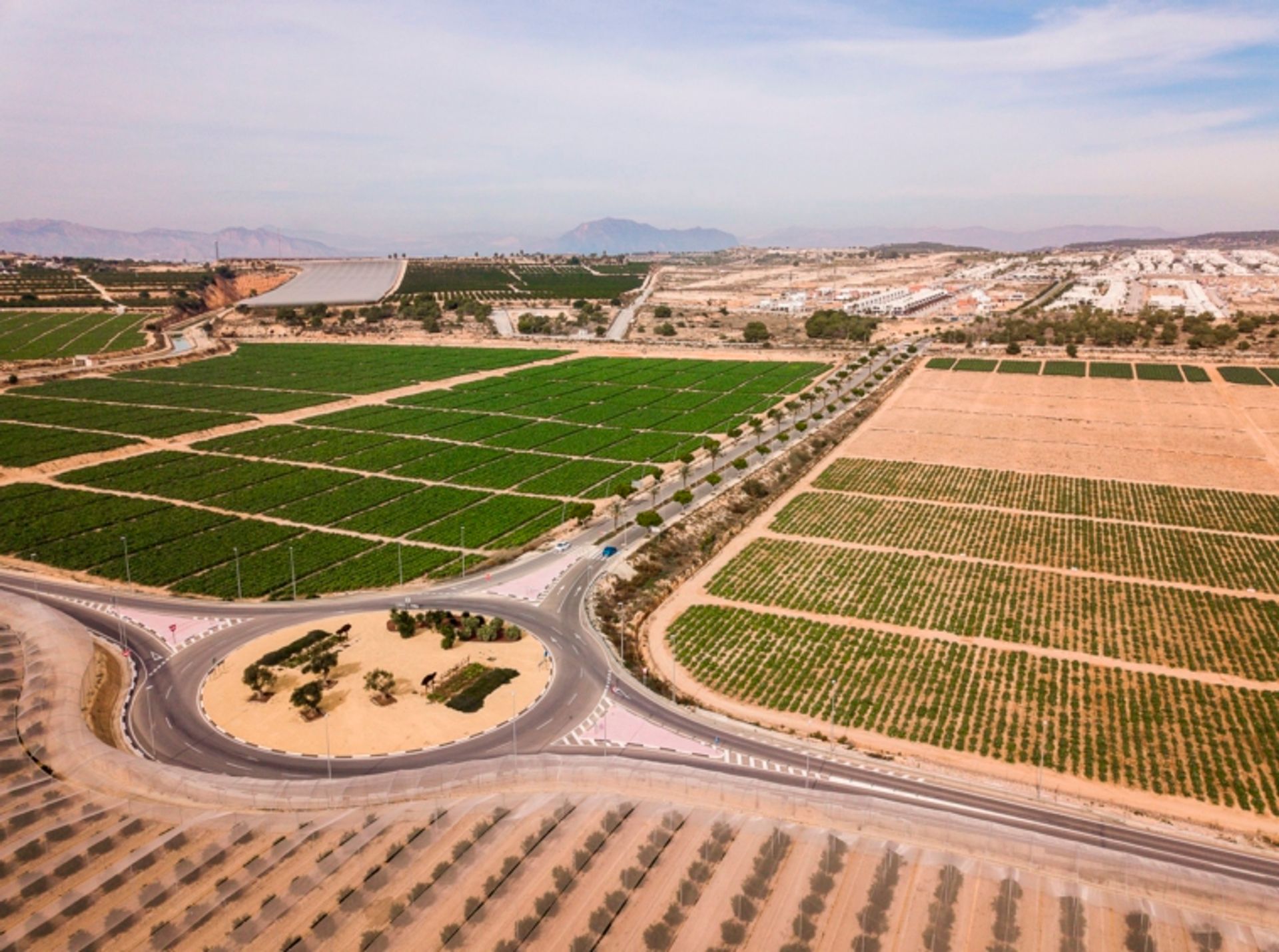 Huis in San Miguel de Salinas, Valencian Community 10130620