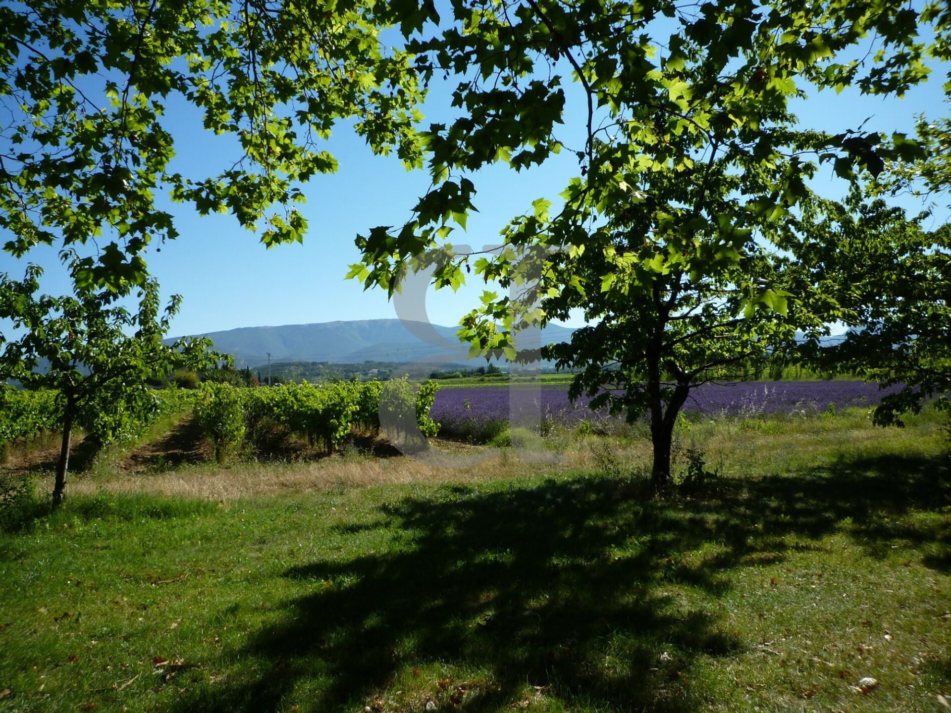 casa en Nyons, Auvergne-Rhône-Alpes 10130900