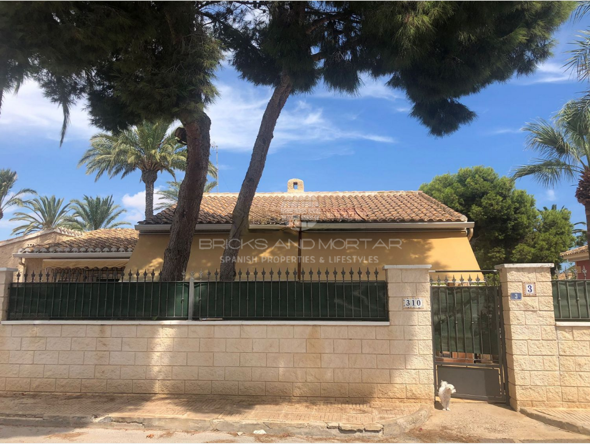 House in Torrevieja, Valencia 10130990