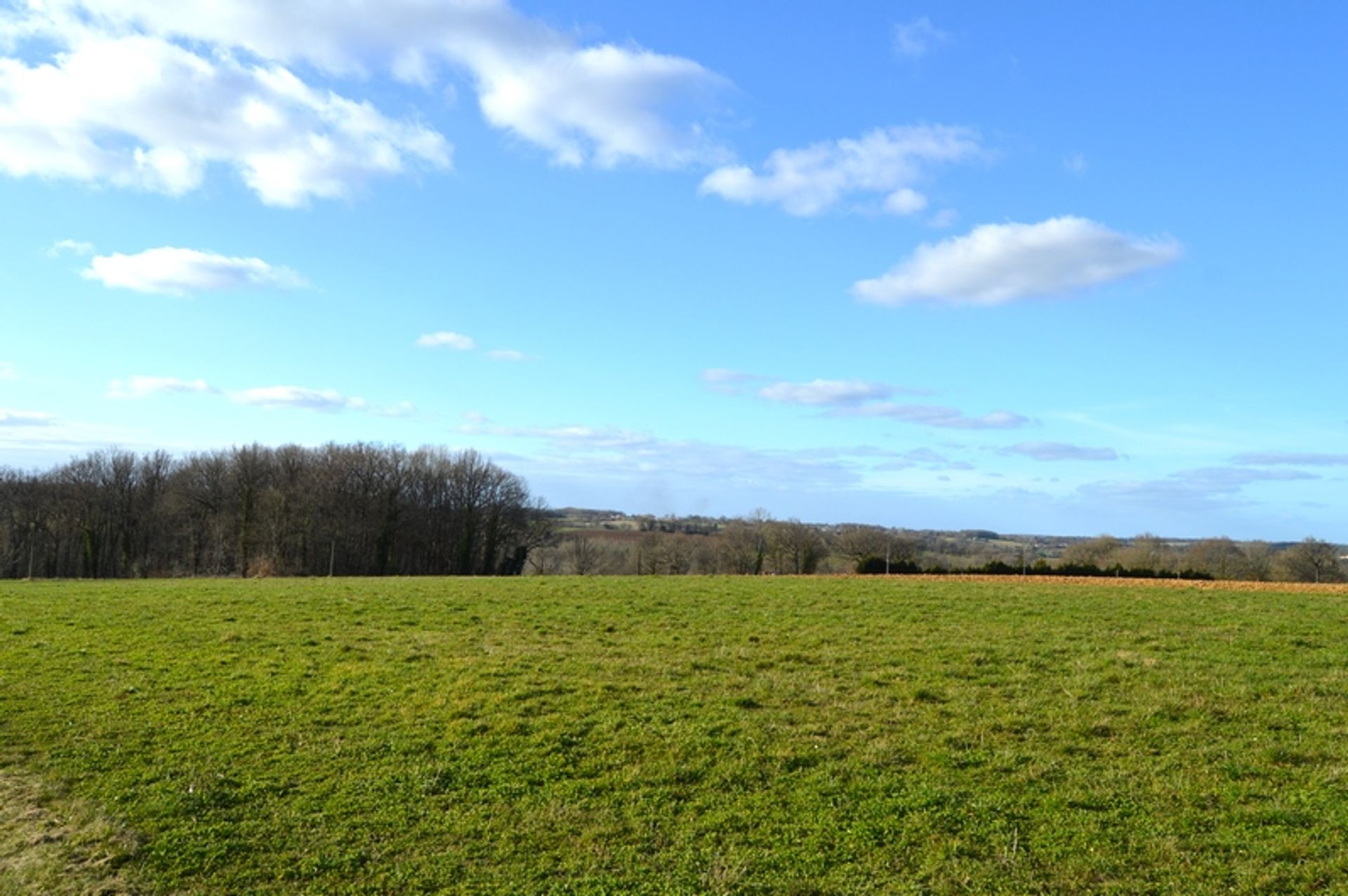 Autre dans Chatain, Nouvelle-Aquitaine 10131099