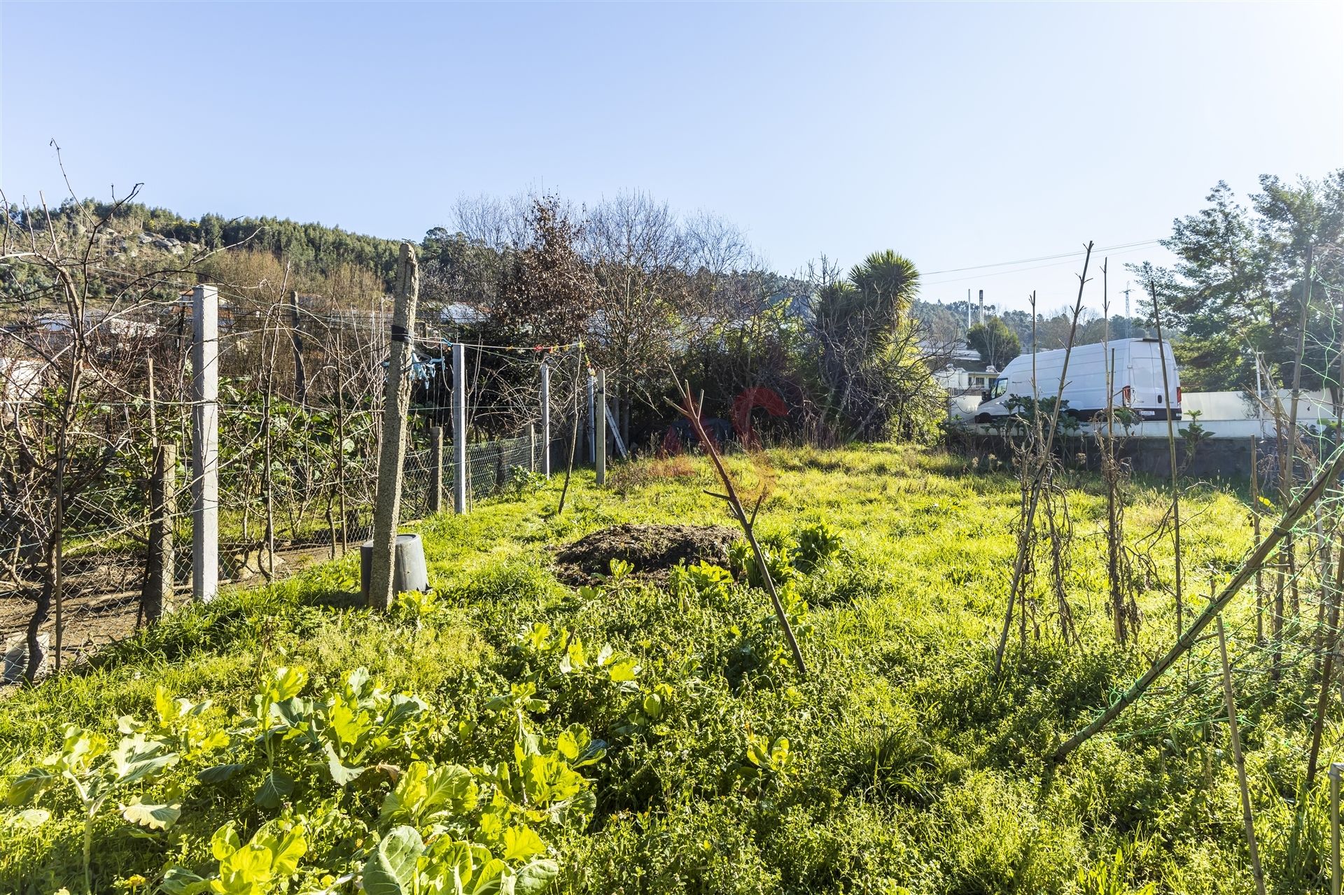 casa no Guimaraes, Braga 10131514