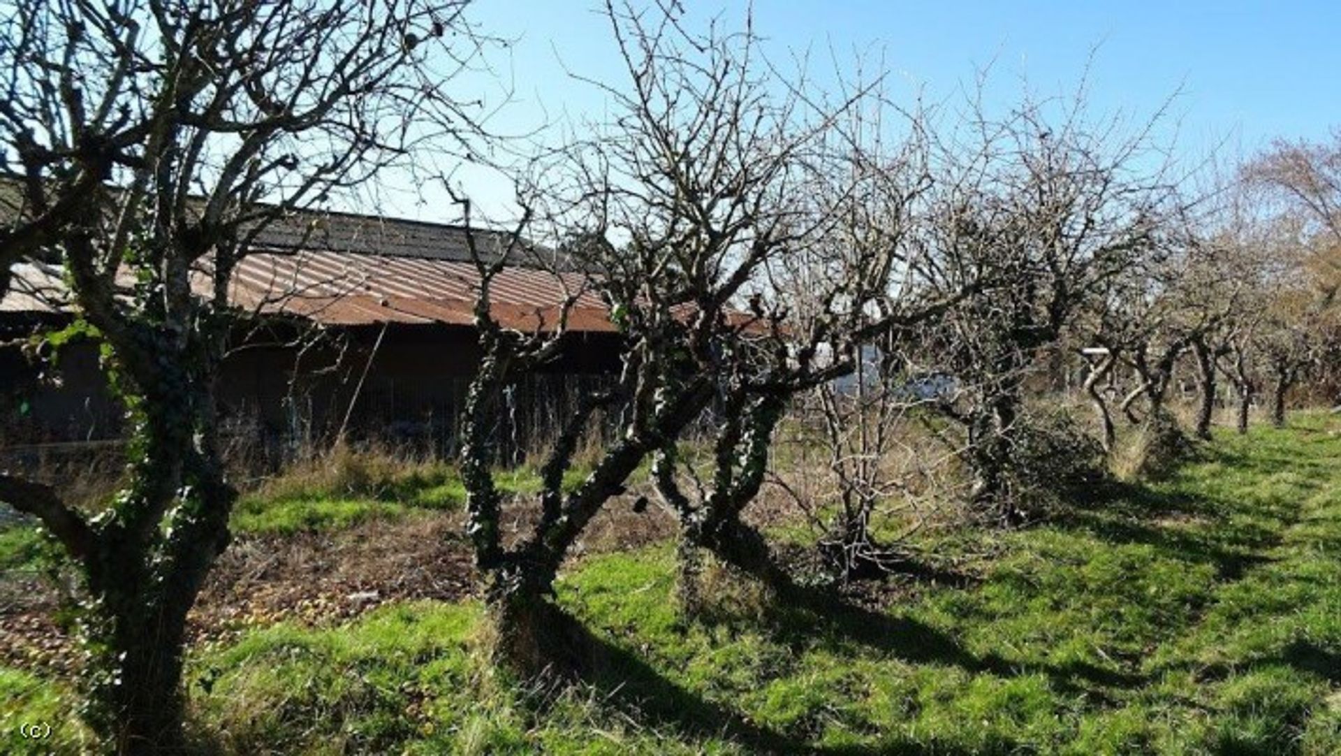 σπίτι σε Chef-Boutonne, Nouvelle-Aquitaine 10131865