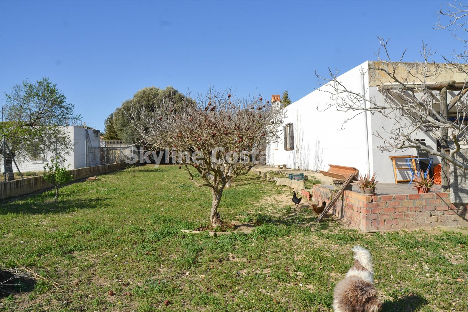 Hus i Chiclana de la Frontera, Andalusia 10131888