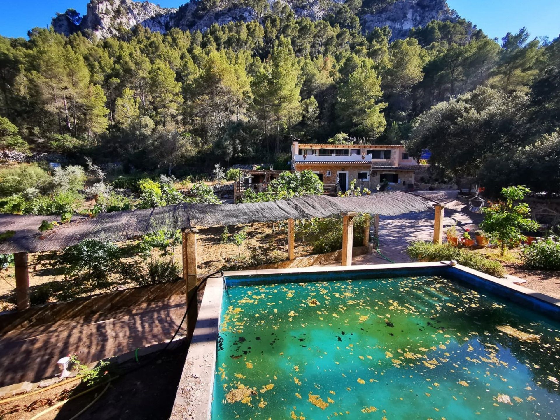 Eigentumswohnung im Es Capdellà, Balearic Islands 10131941