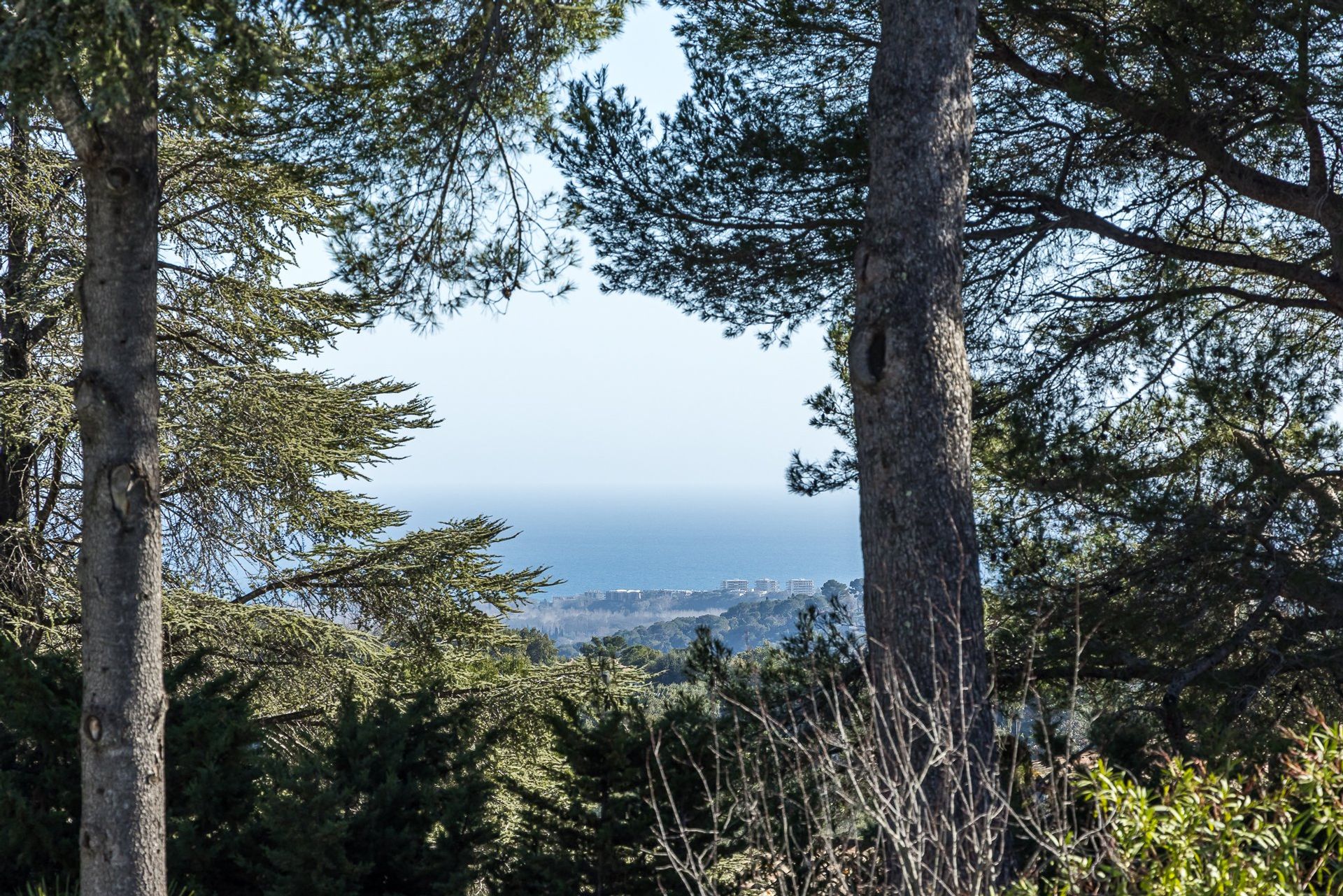 Hus i Biot, Provence-Alpes-Cote d'Azur 10132106