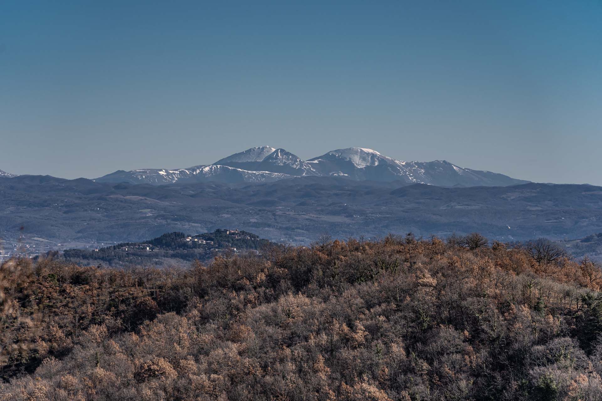 Другой в , Tuscany 10132153