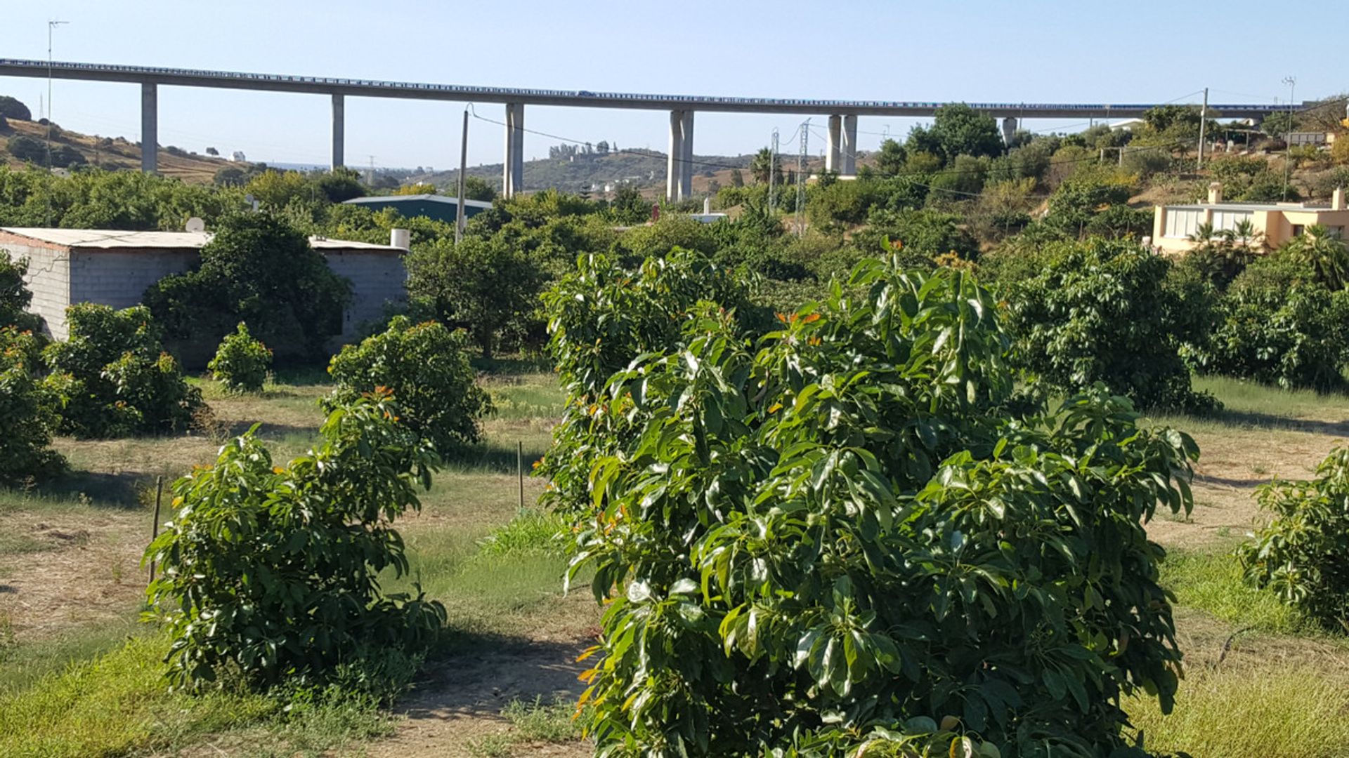 Γη σε Εστεπόνα, Ανδαλουσία 10132617