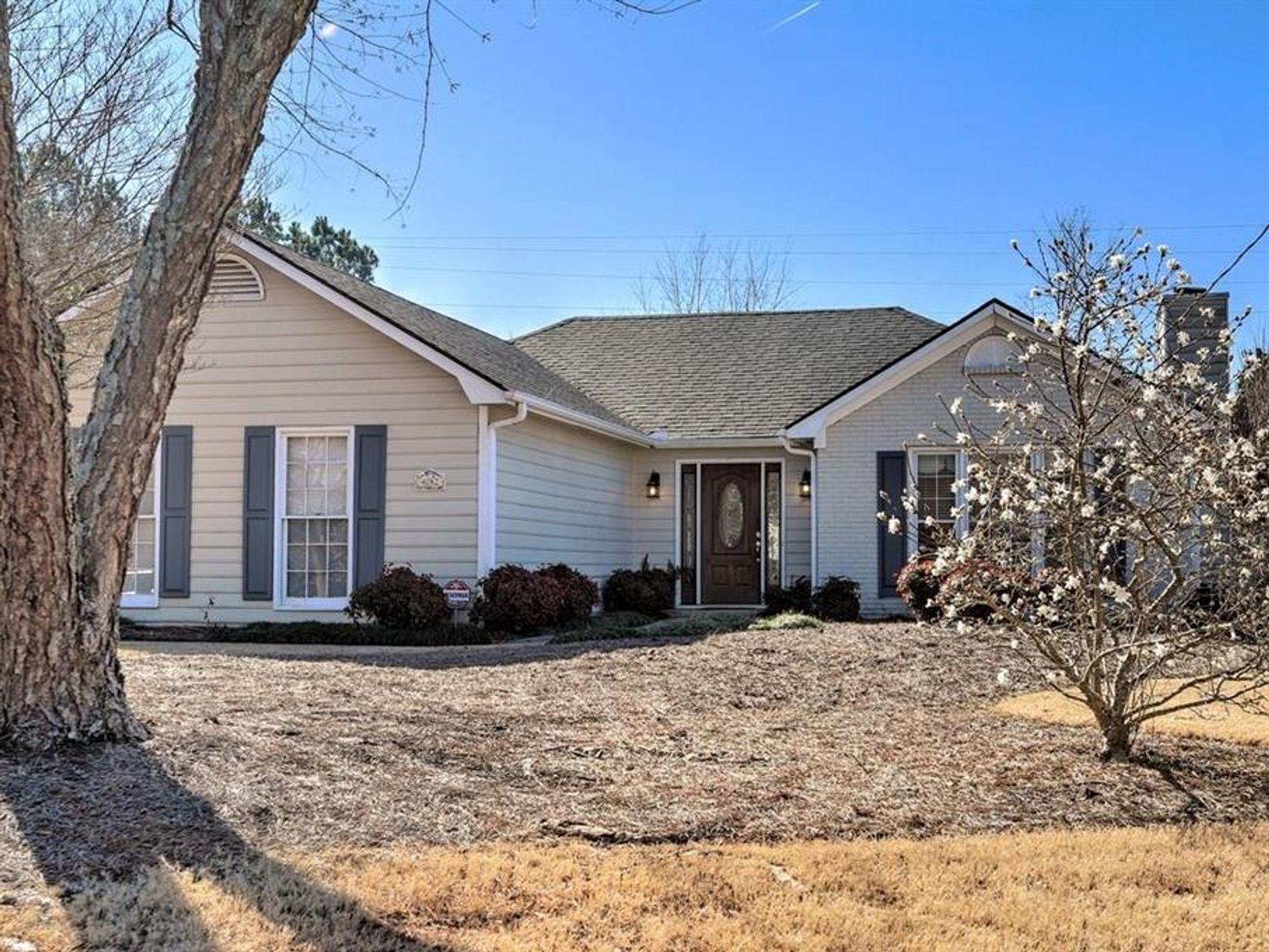 House in Woodstock, Georgia 10133044