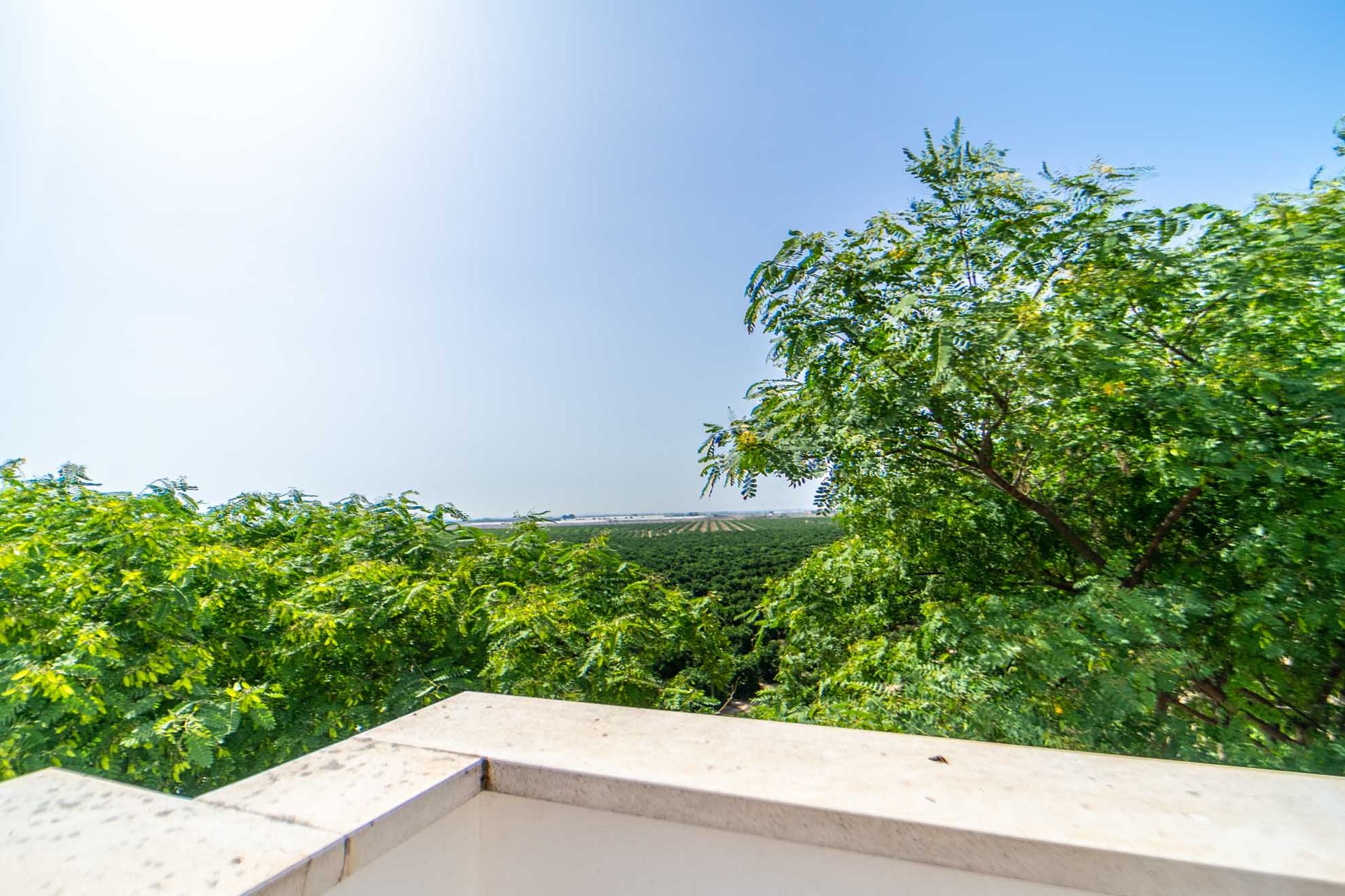 Condomínio no Torre-Pacheco, Región de Murcia 10133396