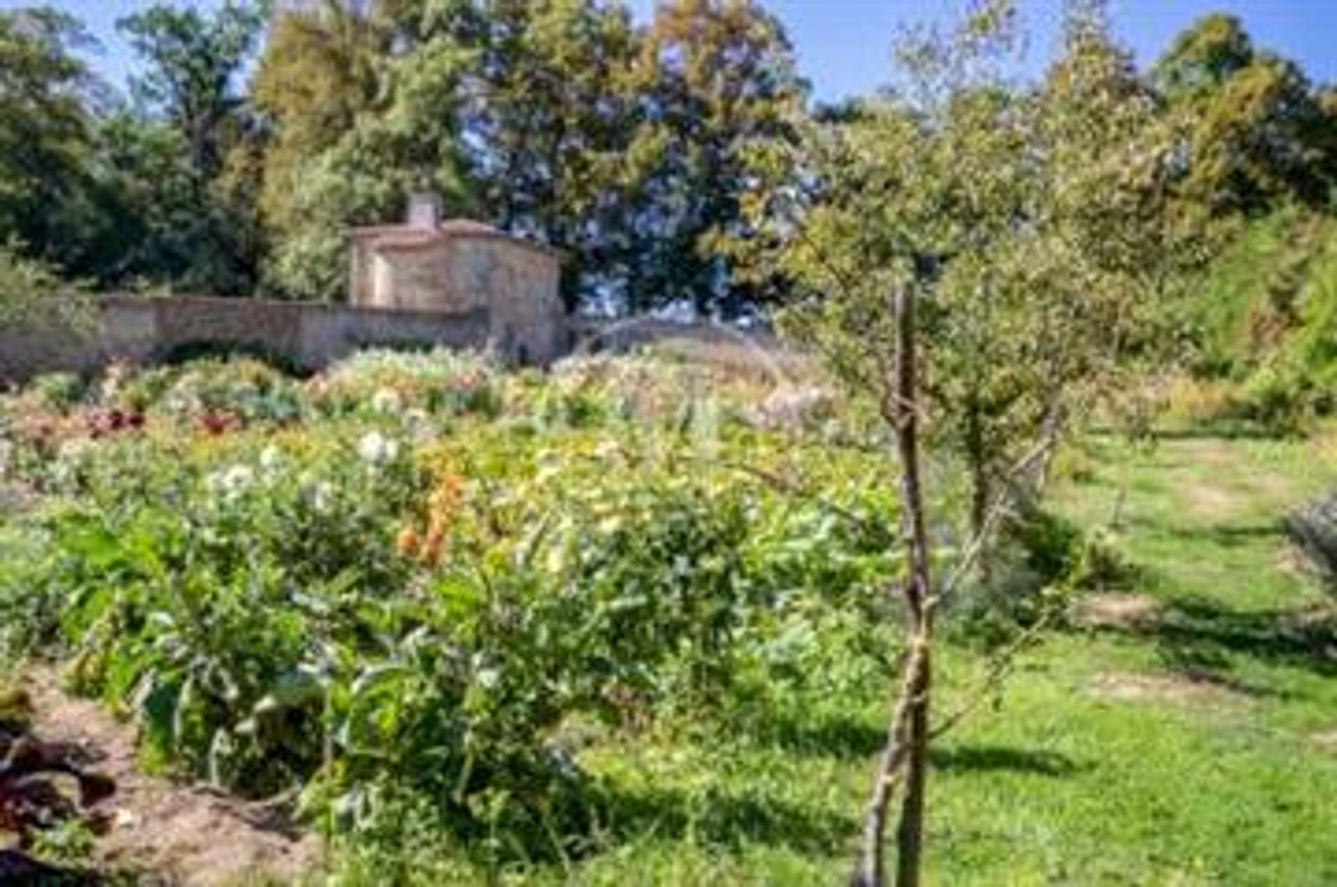 casa no Clermont-Ferrand, Auvergne-Rhone-Alpes 10133675