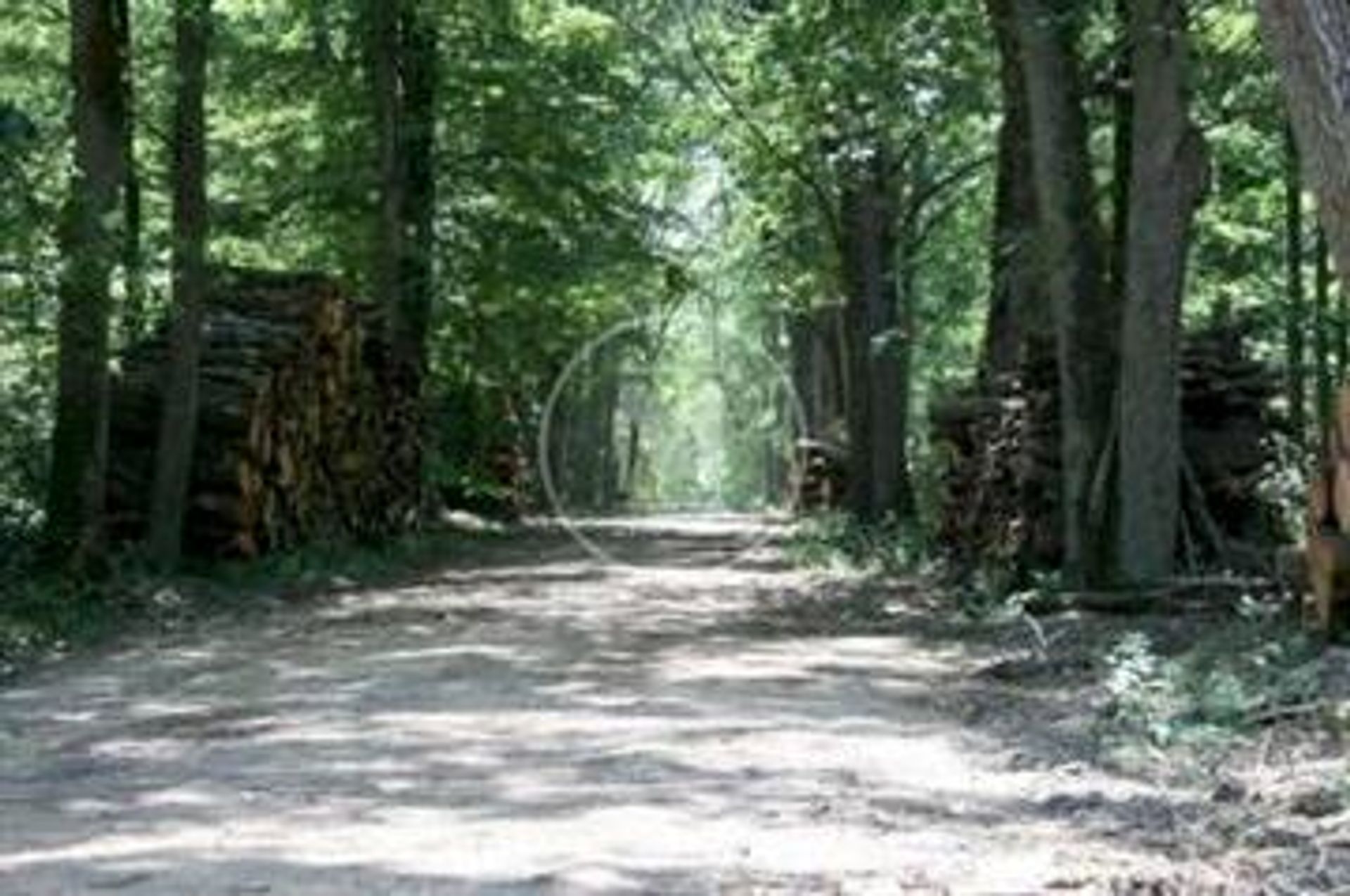 loger dans La Roche-Posay, Nouvelle-Aquitaine 10133715