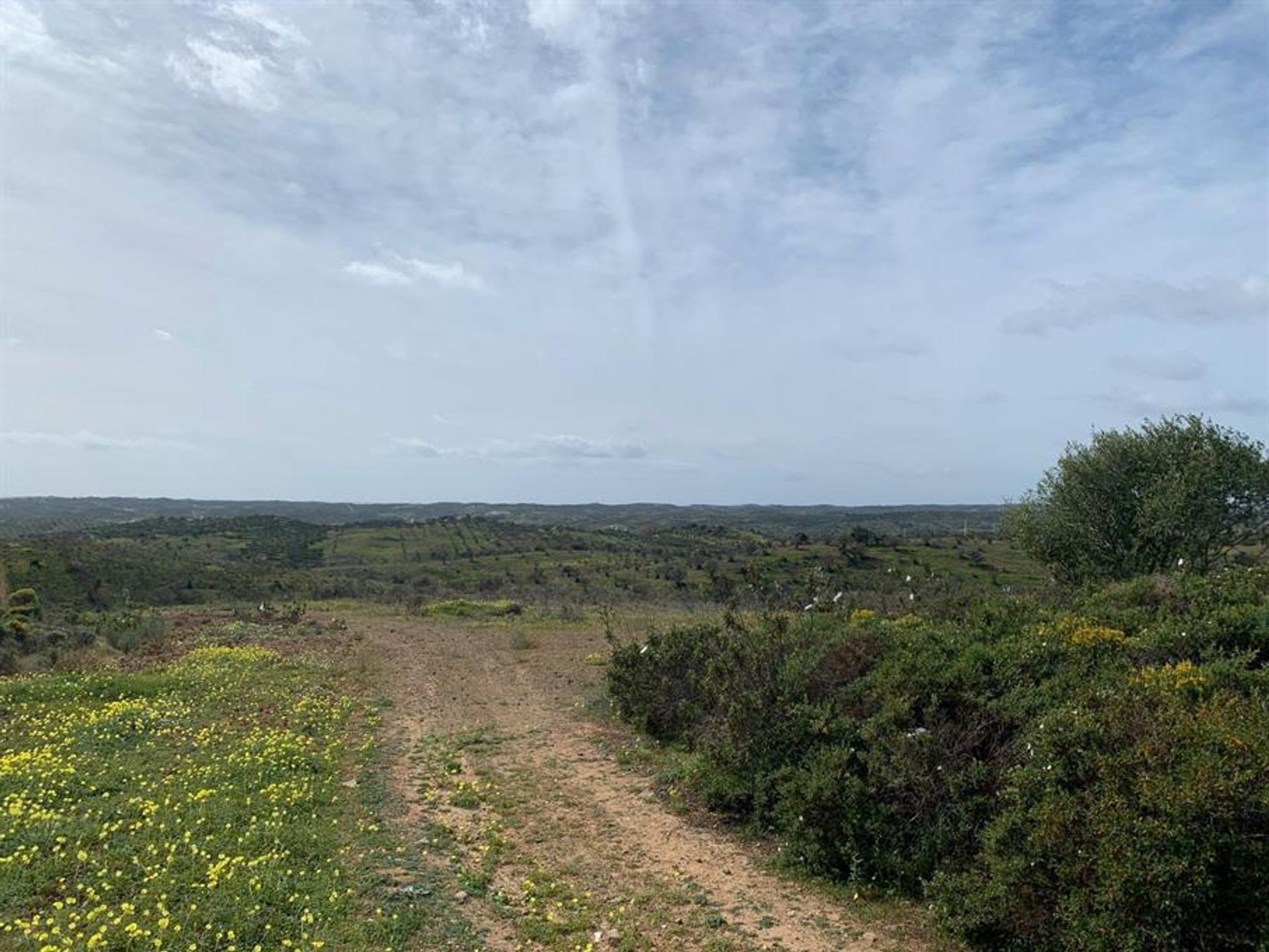 Rumah di Rossio ao Sul do Tejo, Santarem 10134083