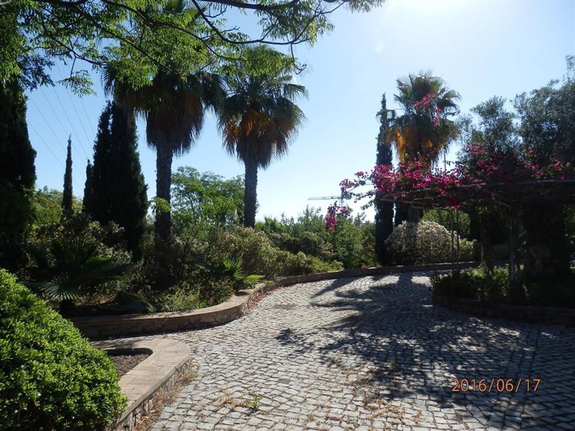 casa no Rossio ao Sul do Tejo, Santarém 10134095