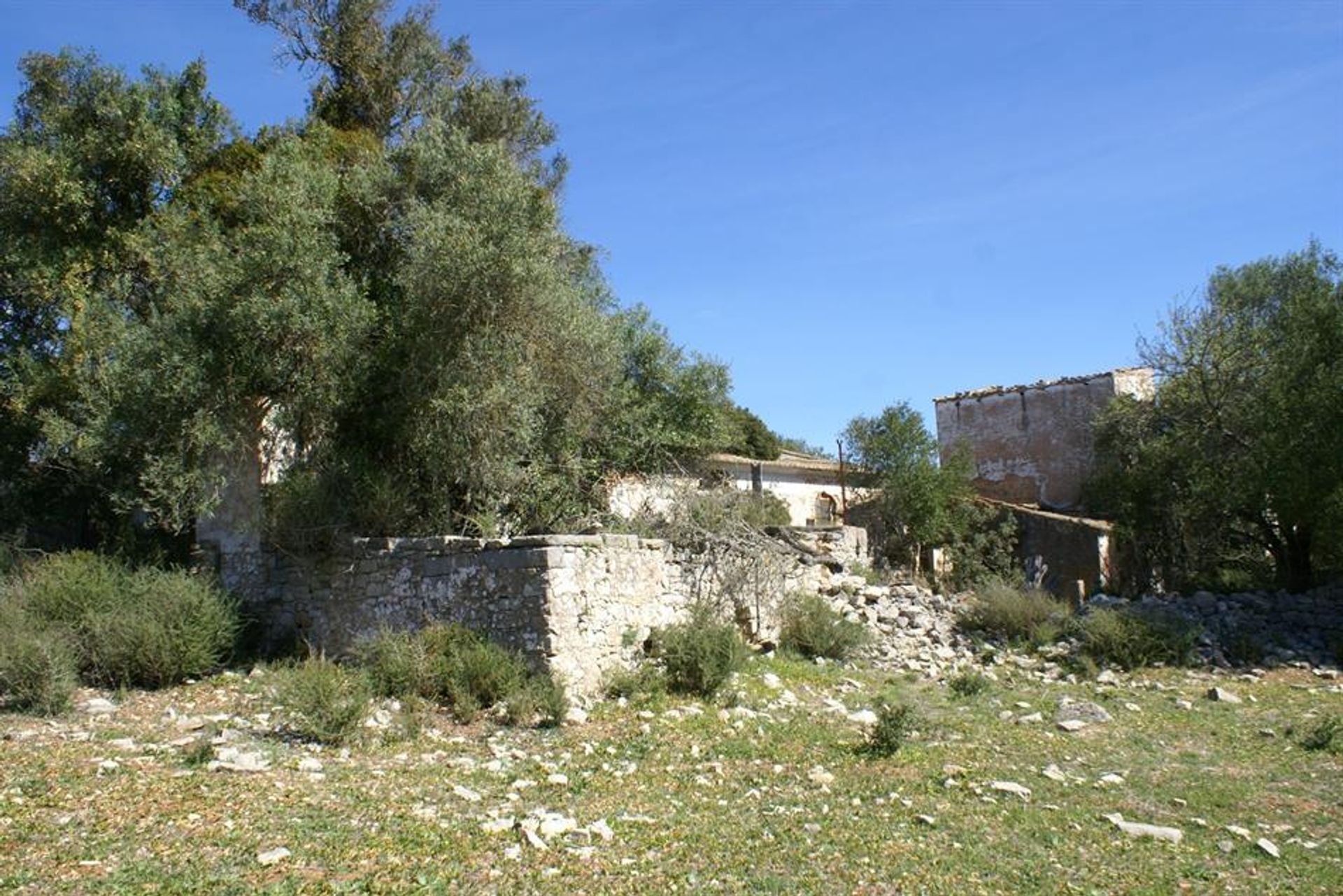 Tierra en Rossio ao Sul do Tejo, Santarem 10134150