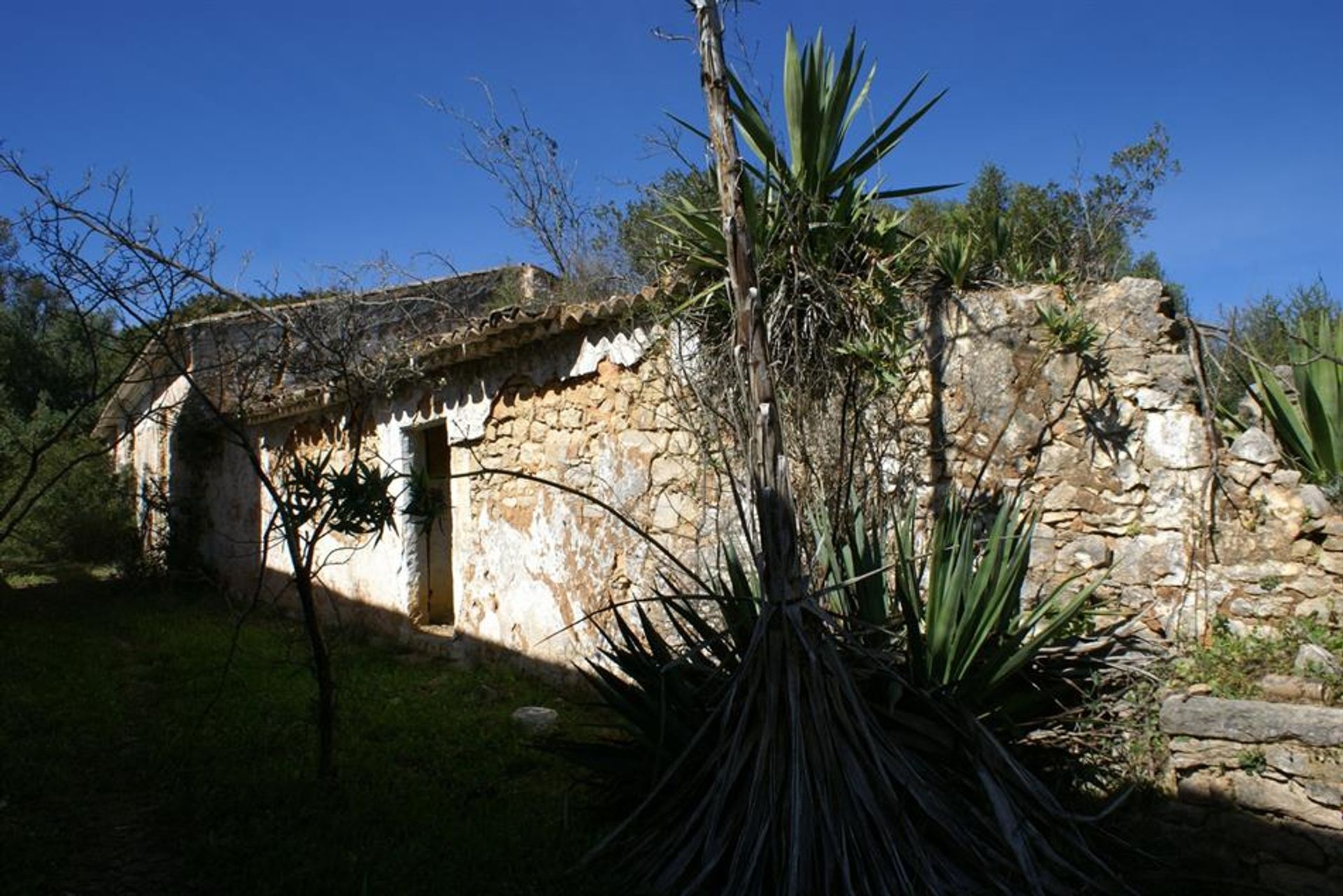 Wylądować w Rossio ao Sul do Tejo, Santarem 10134150