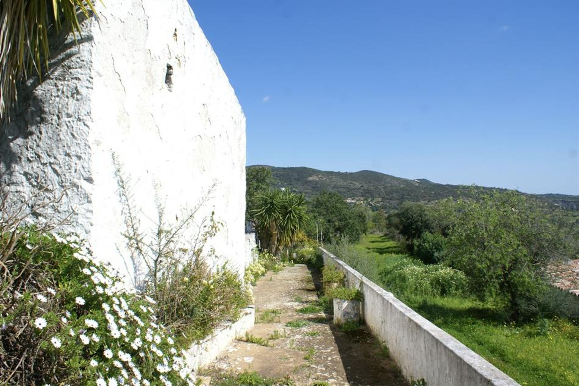 Tierra en Rossio del Sur del Tajo, Santarém 10134166