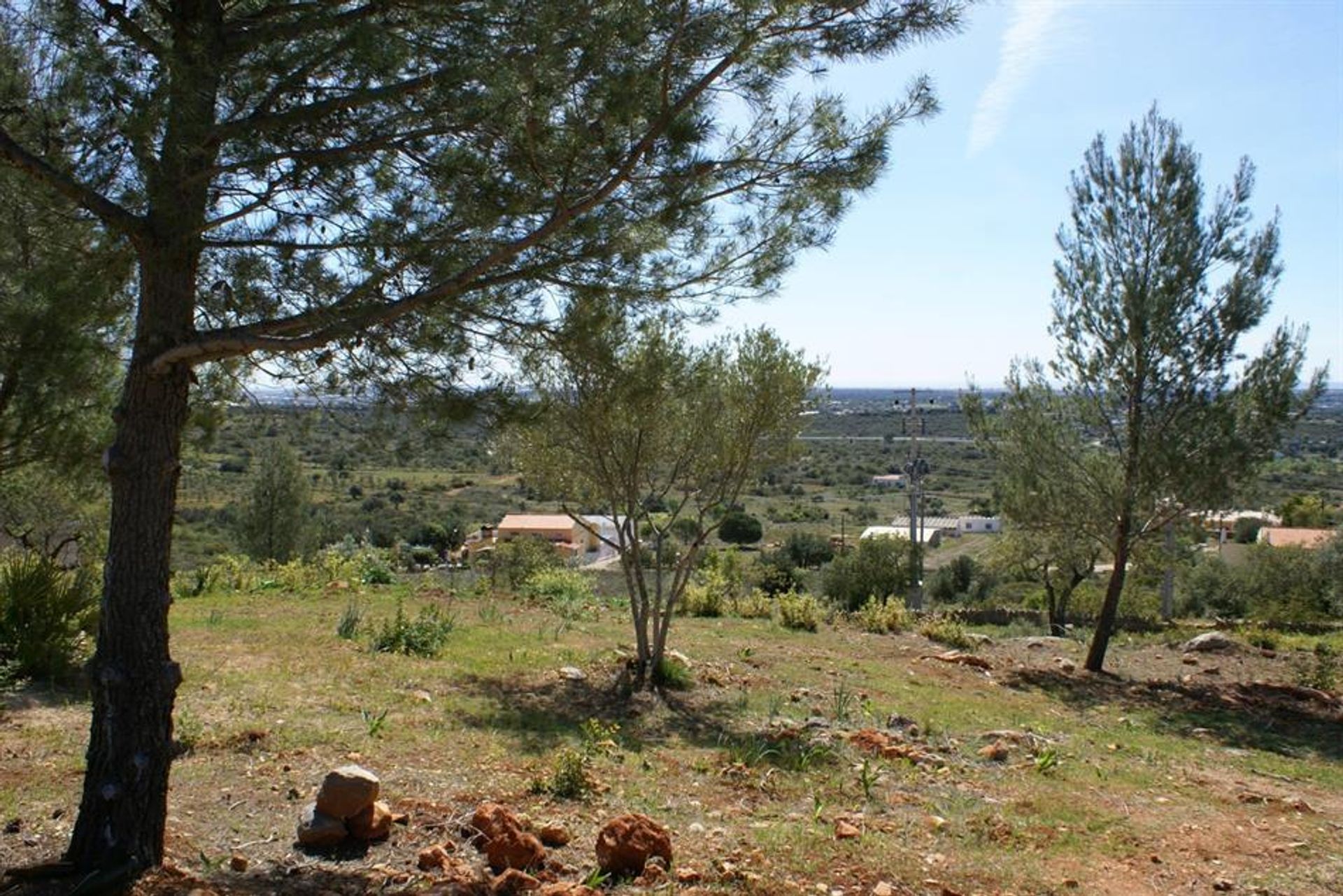 Tierra en Rossio del Sur del Tajo, Santarém 10134186