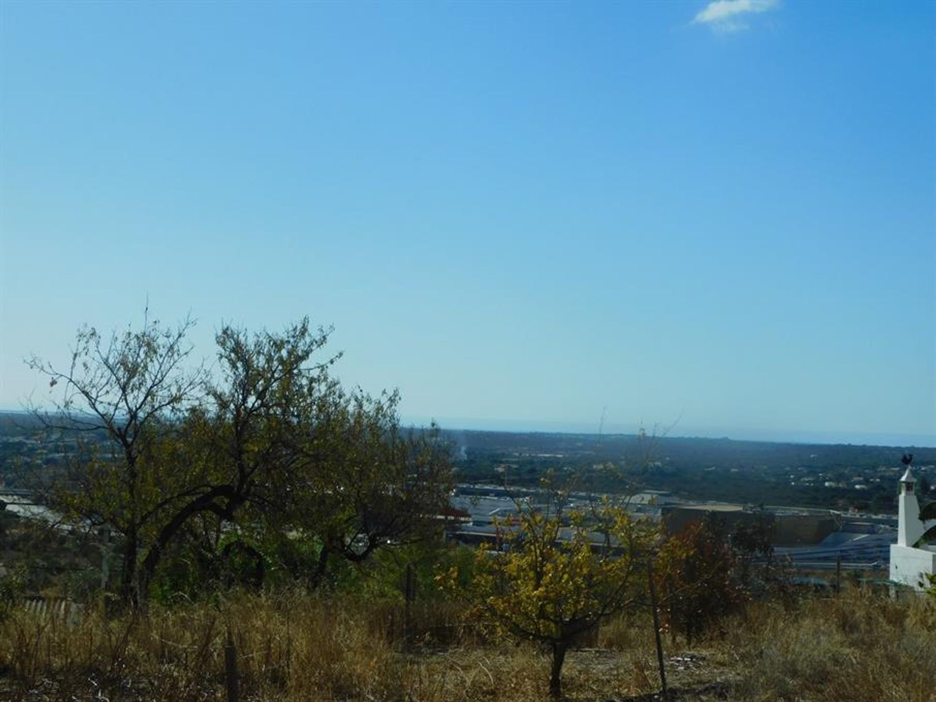 Land im Rossio ao Sul do Tejo, Santarem 10134198