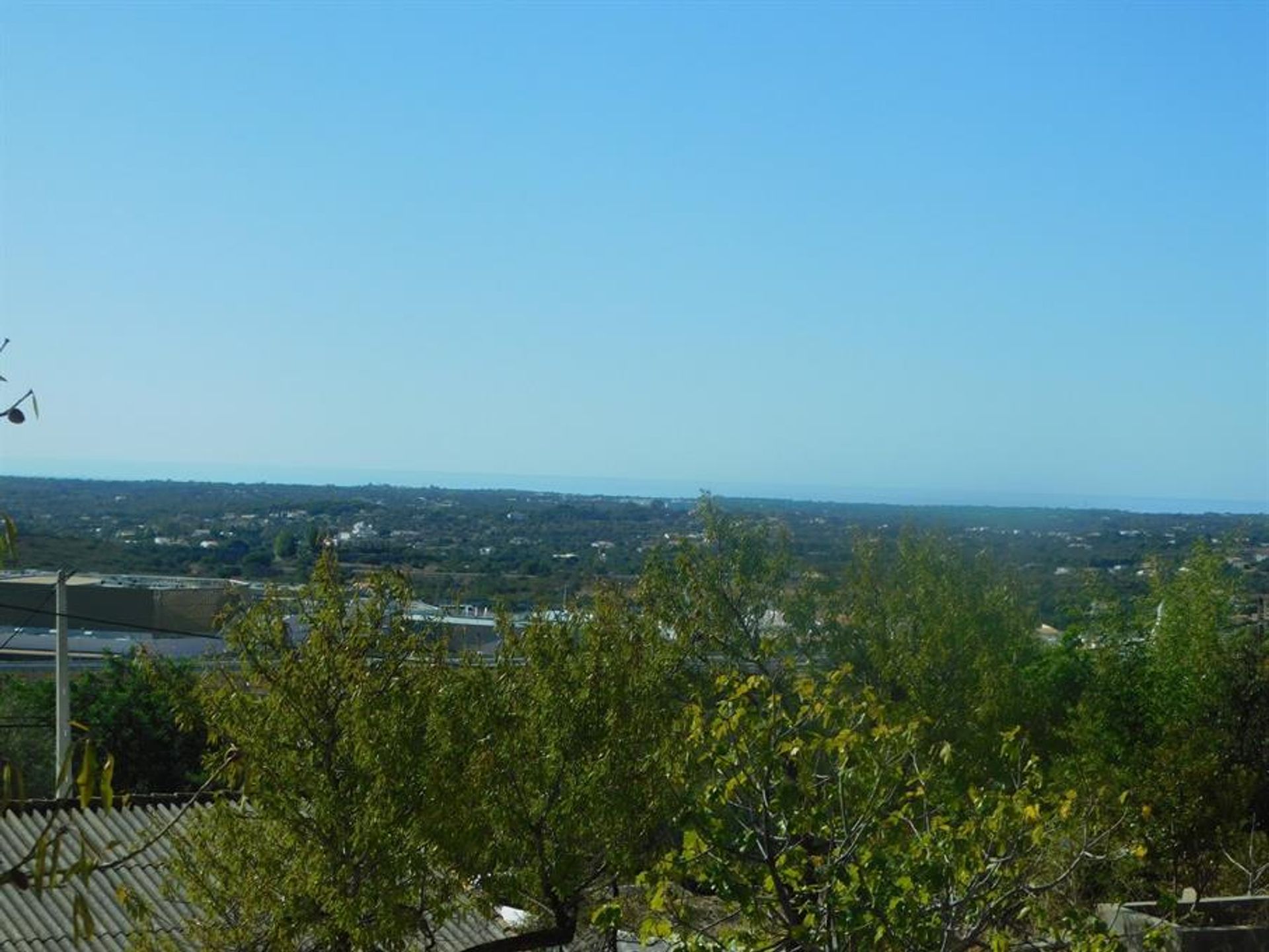 Land im Rossio ao Sul do Tejo, Santarem 10134198