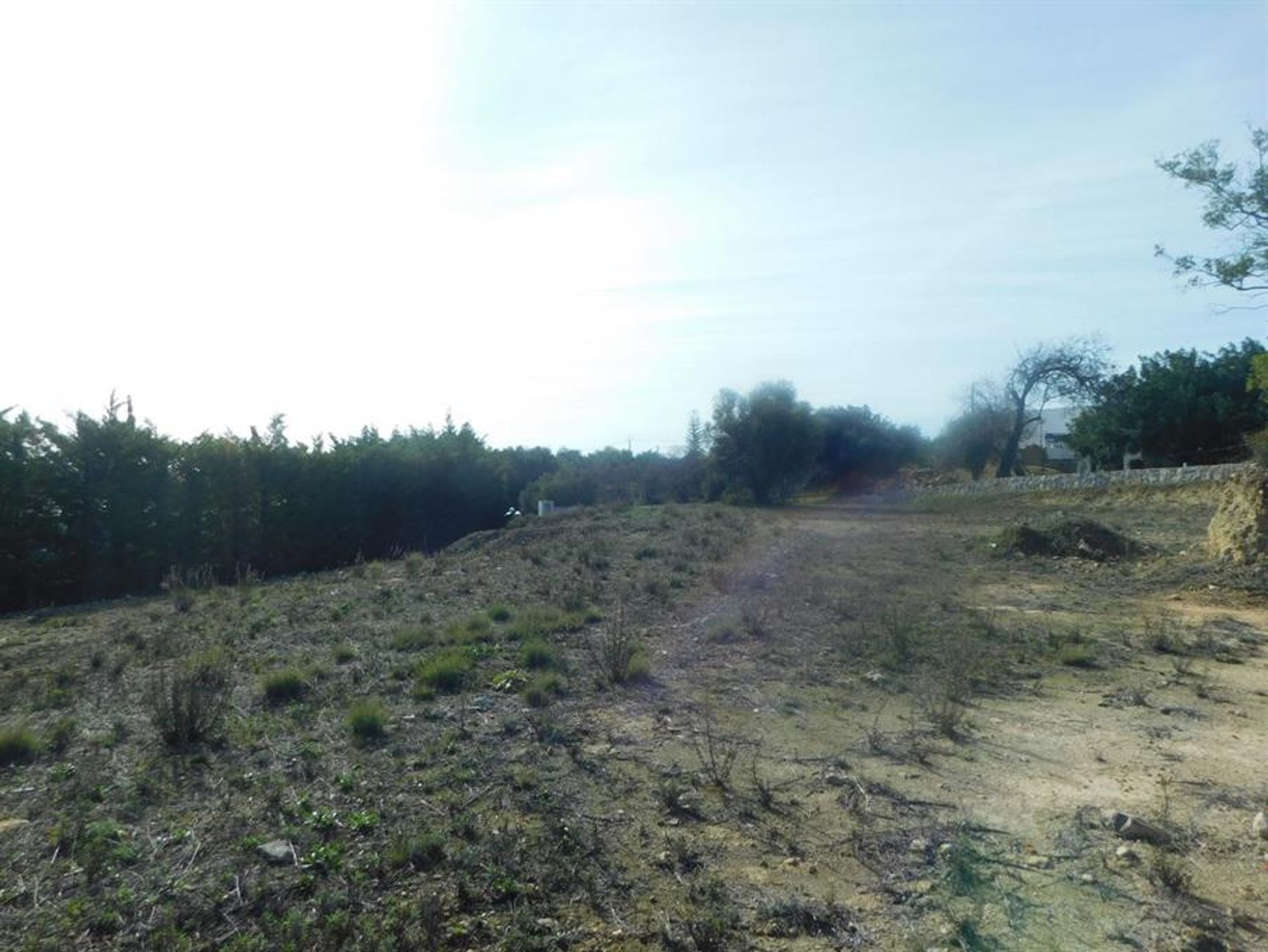 Land im Rossio ao Sul do Tejo, Santarem 10134200