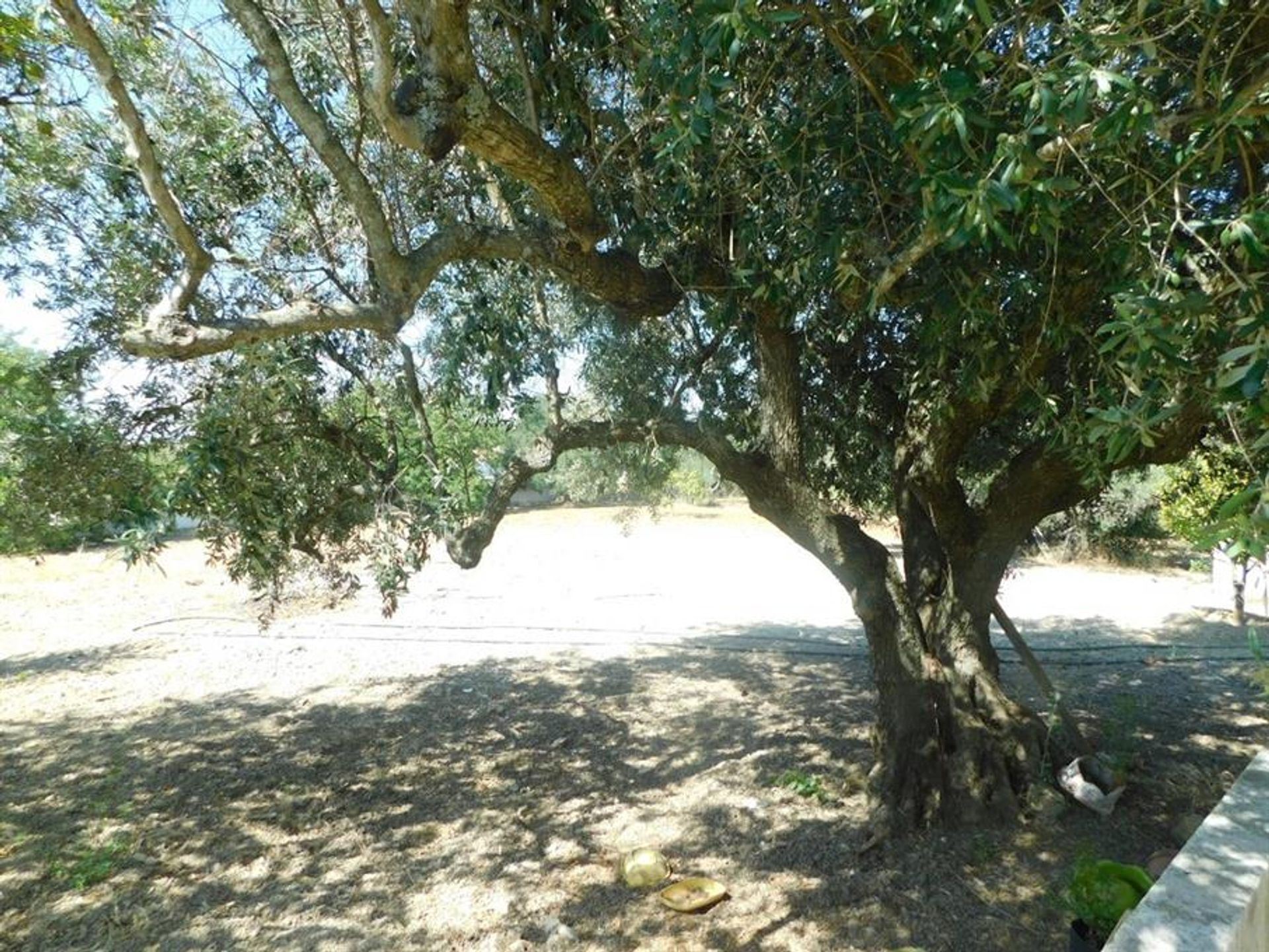 loger dans Rossio au sud du Tejo, Santarém 10134204