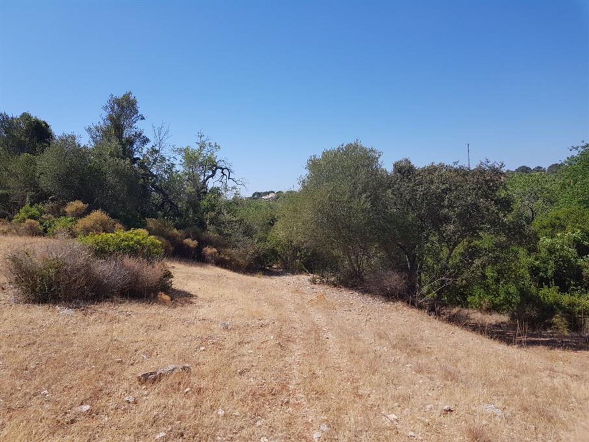 Tierra en Rossio del Sur del Tajo, Santarém 10134205