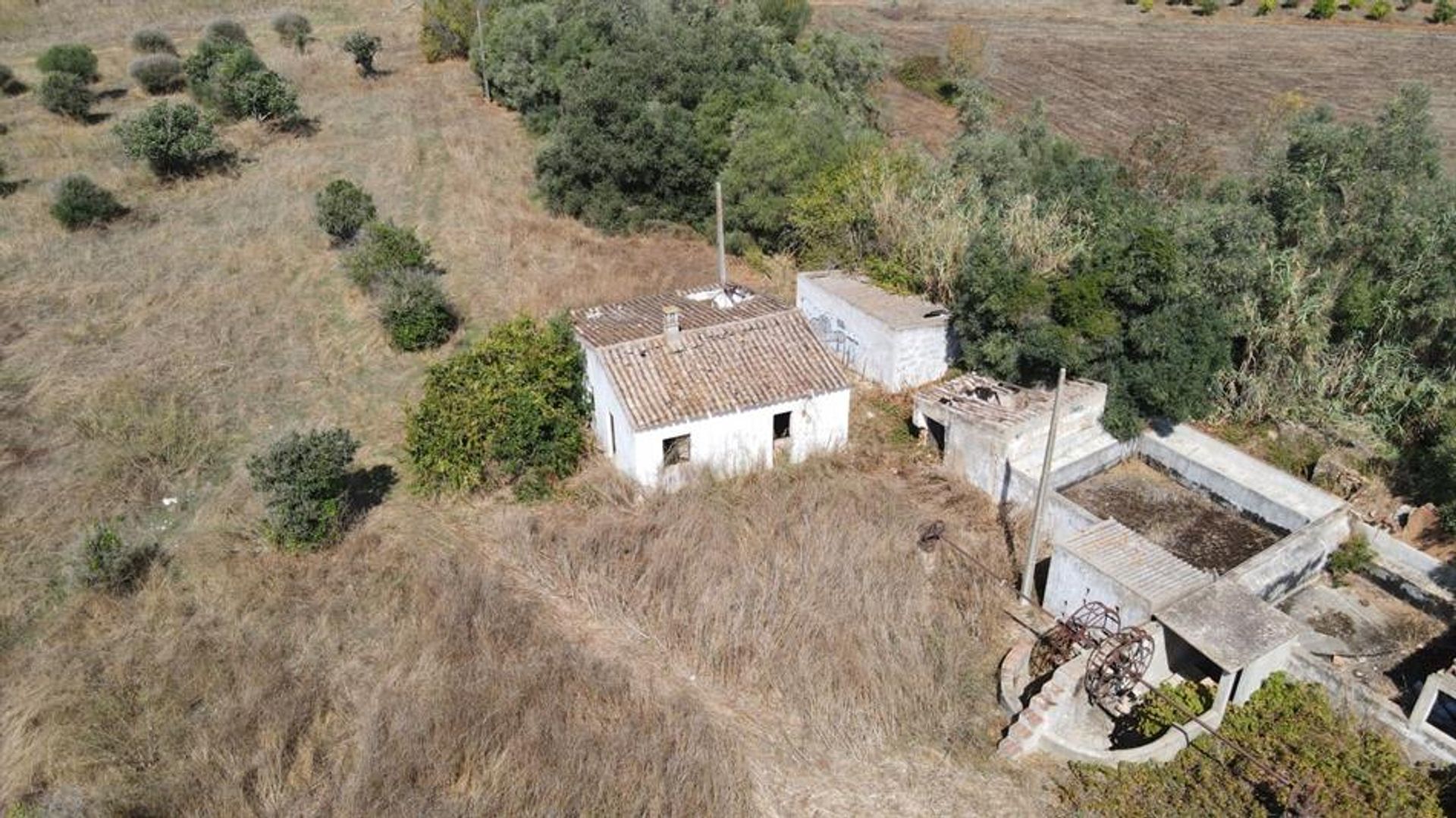 Huis in Rossio en Sul do Tejo, Santarém 10134214