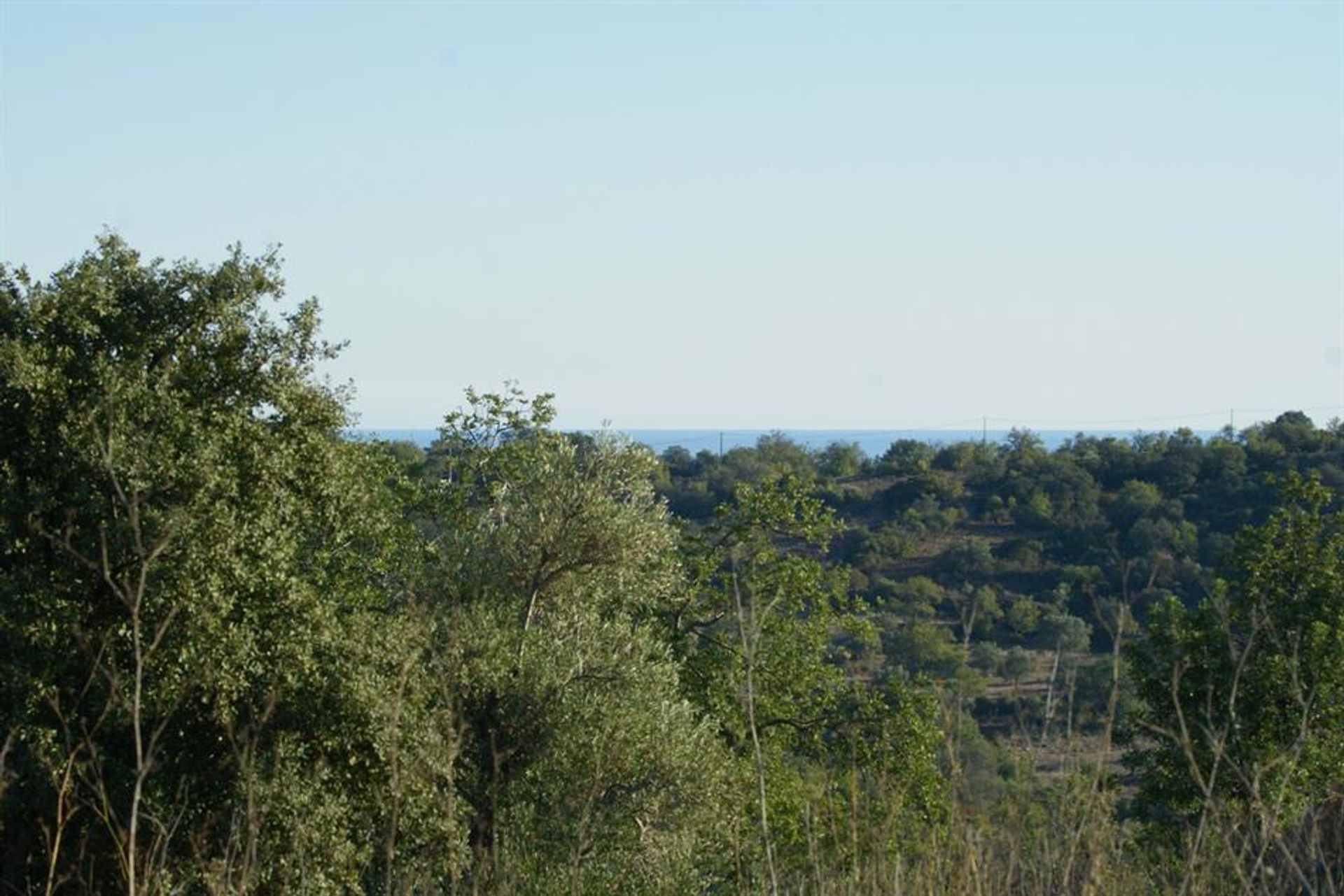 Land i Rossio ao Sul do Tejo, Santarem 10134218