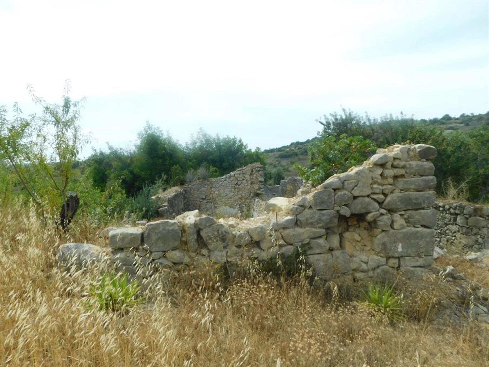 Γη σε Rossio ao Sul do Tejo, Σανταρέμ 10134219