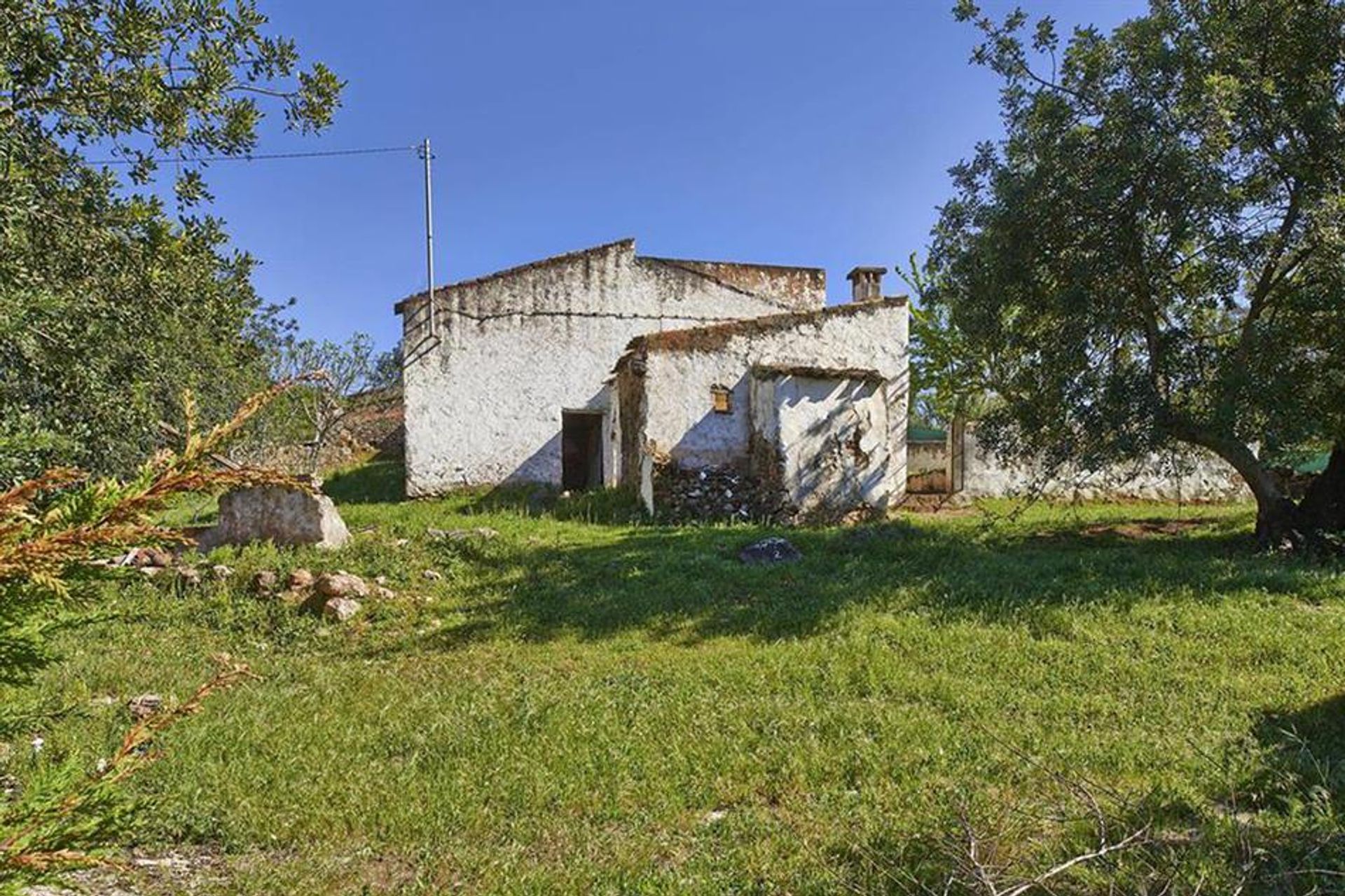 Інший в Rossio ao Sul do Tejo, Сантарем 10134220