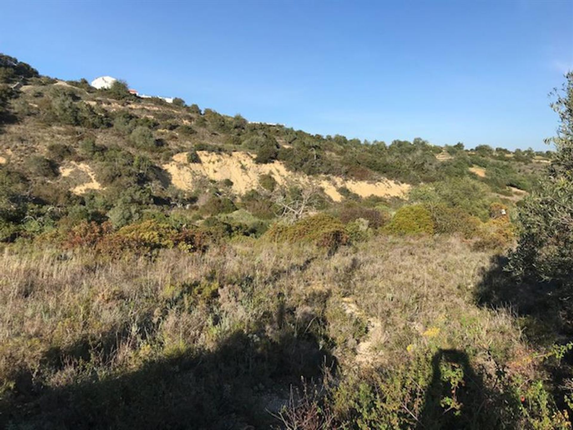 Tierra en Rossio del Sur del Tajo, Santarém 10134223