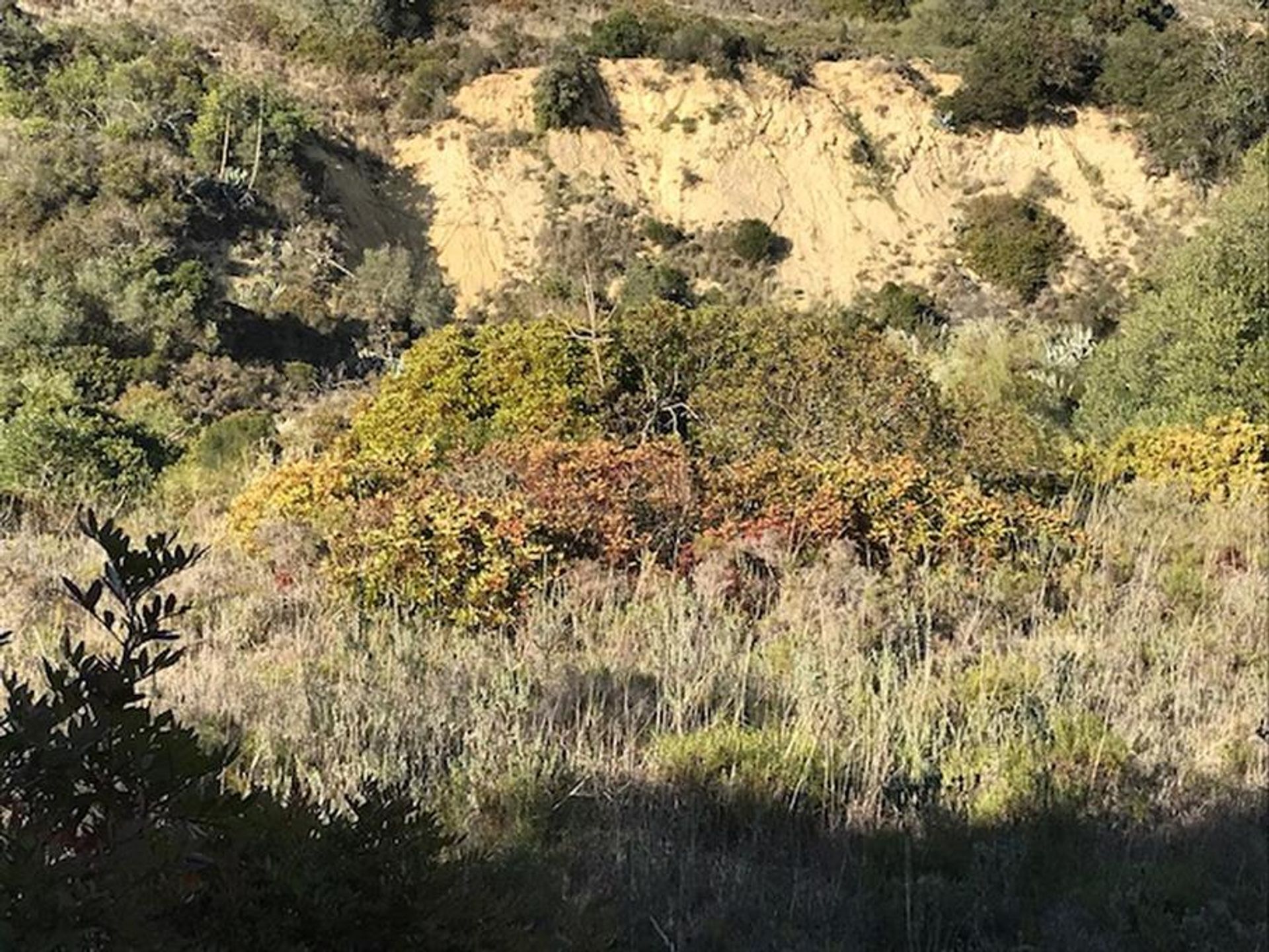 Tierra en Rossio del Sur del Tajo, Santarém 10134223