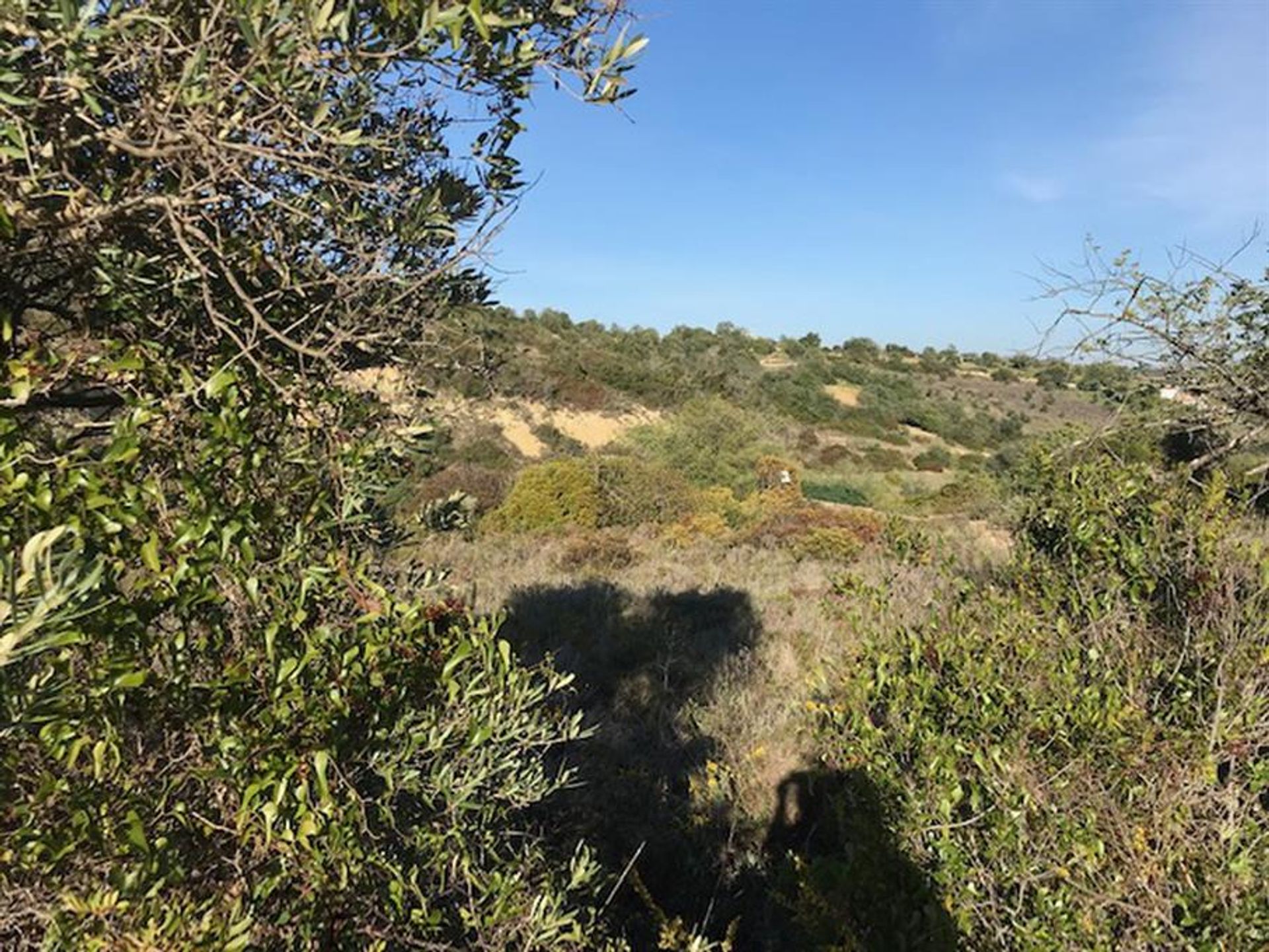 Land in Rossio ao Sul do Tejo, Santarem 10134223