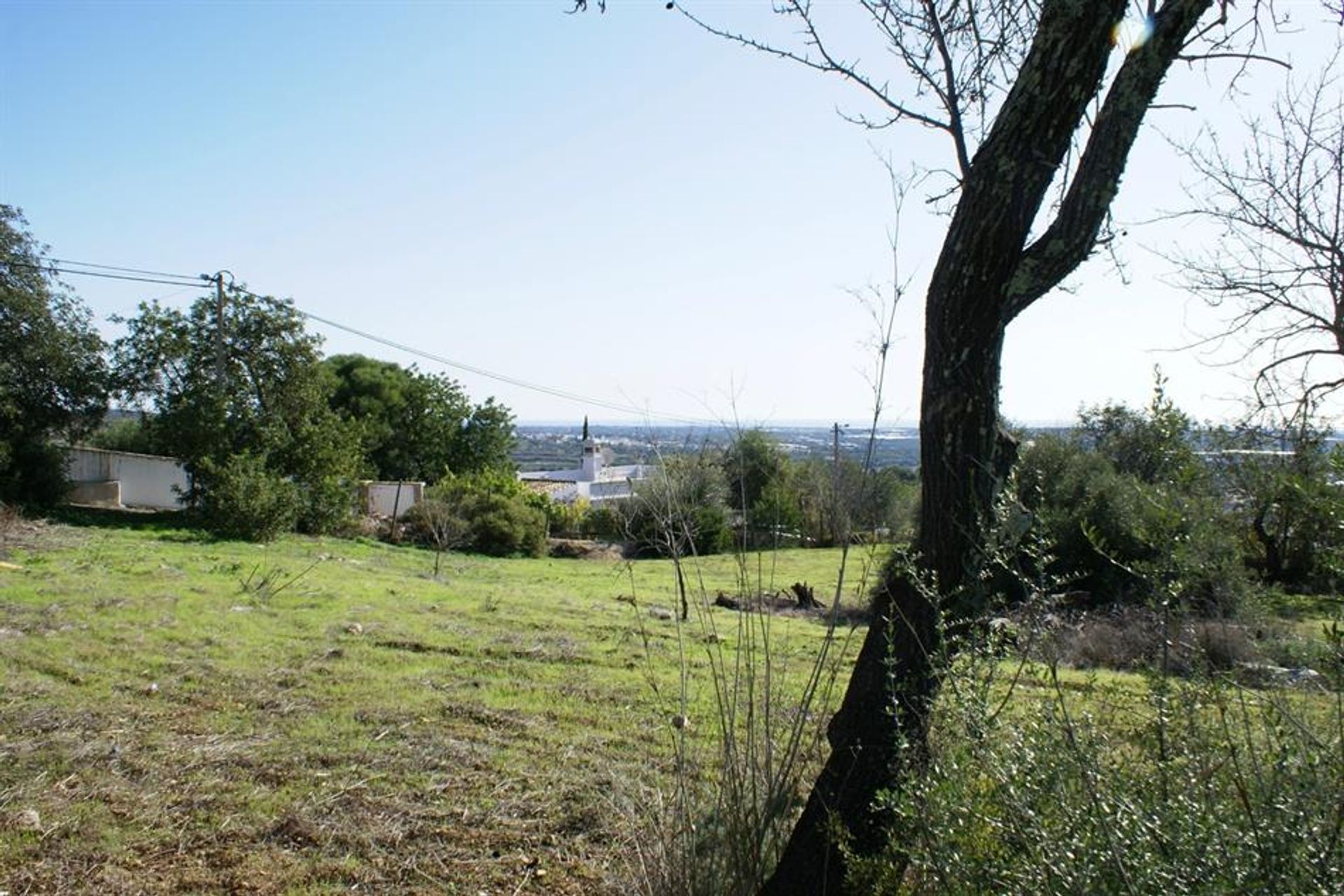 Land i Rossio ao Sul do Tejo, Santarem 10134224