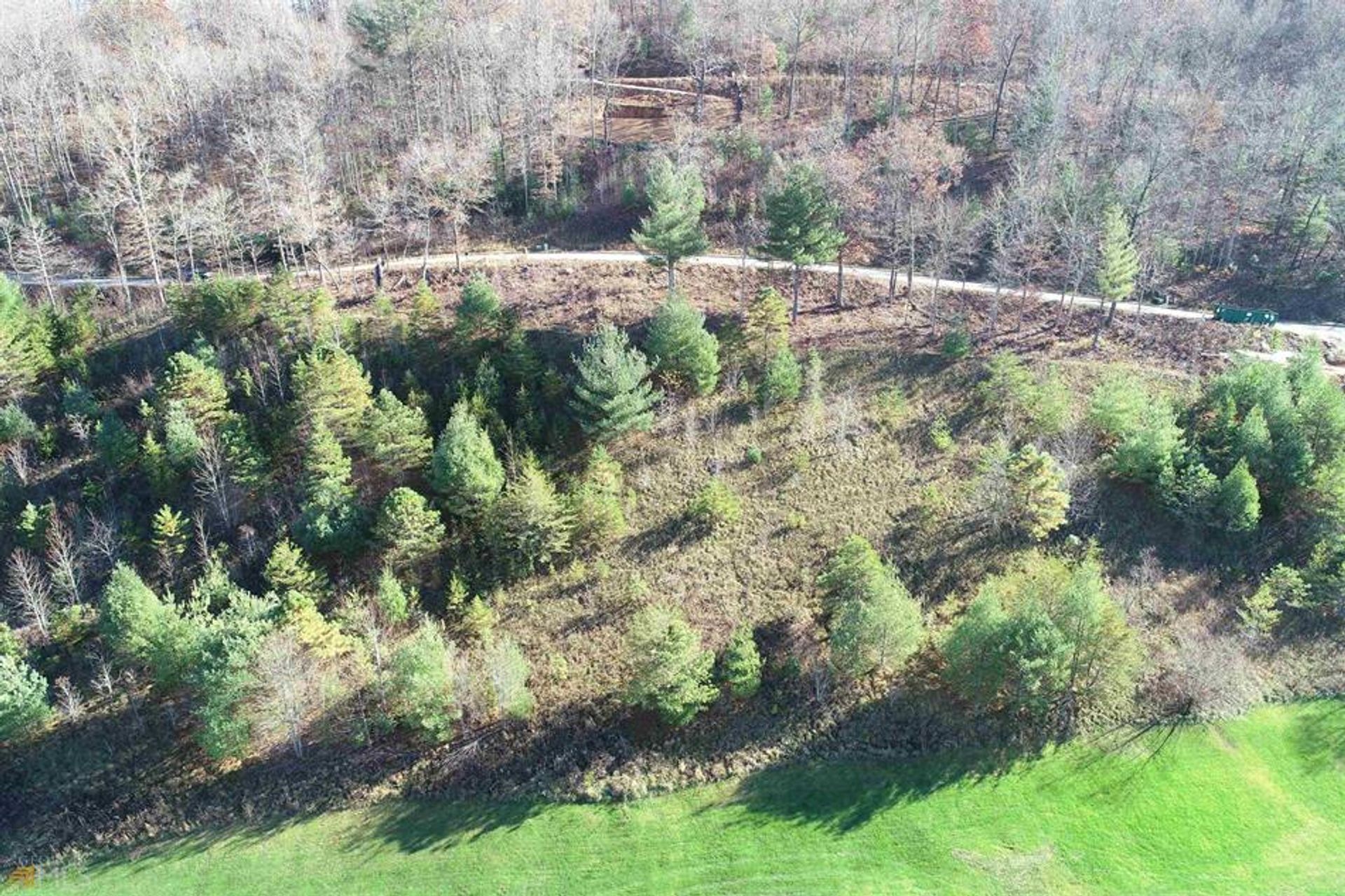 Land in Persimmon, Georgia 10134356