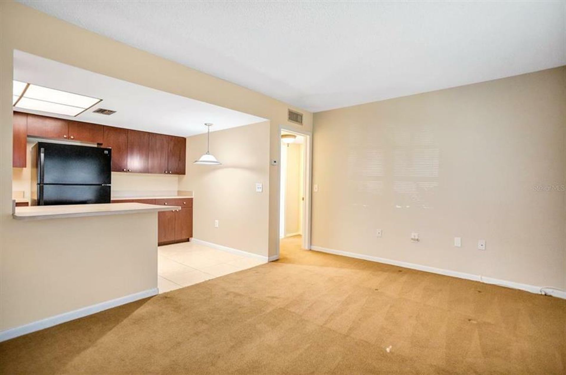 Condominium in St. Petersburg, Florida 10134932