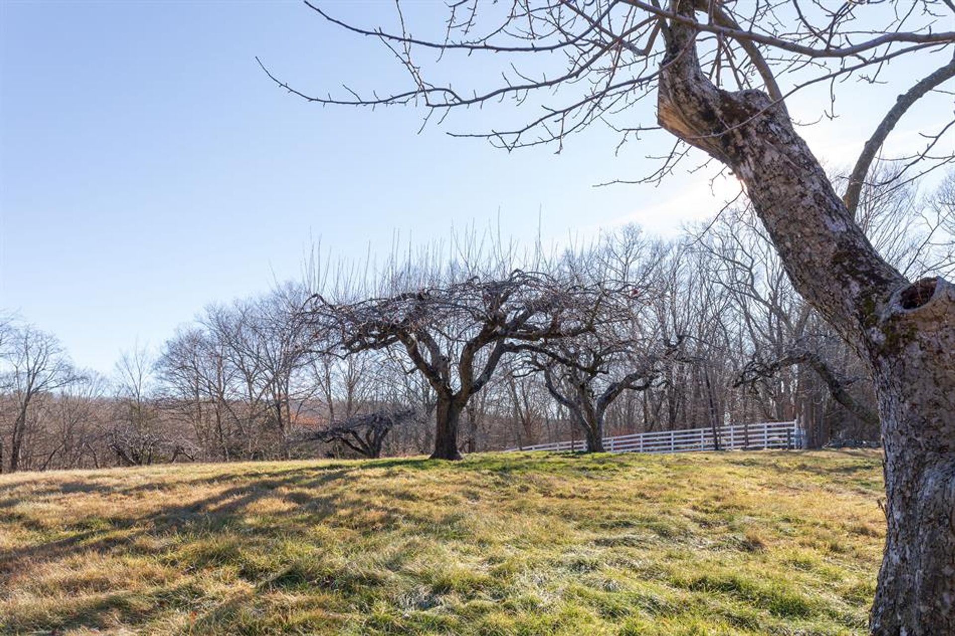 Casa nel Pound Ridge, New York 10136369