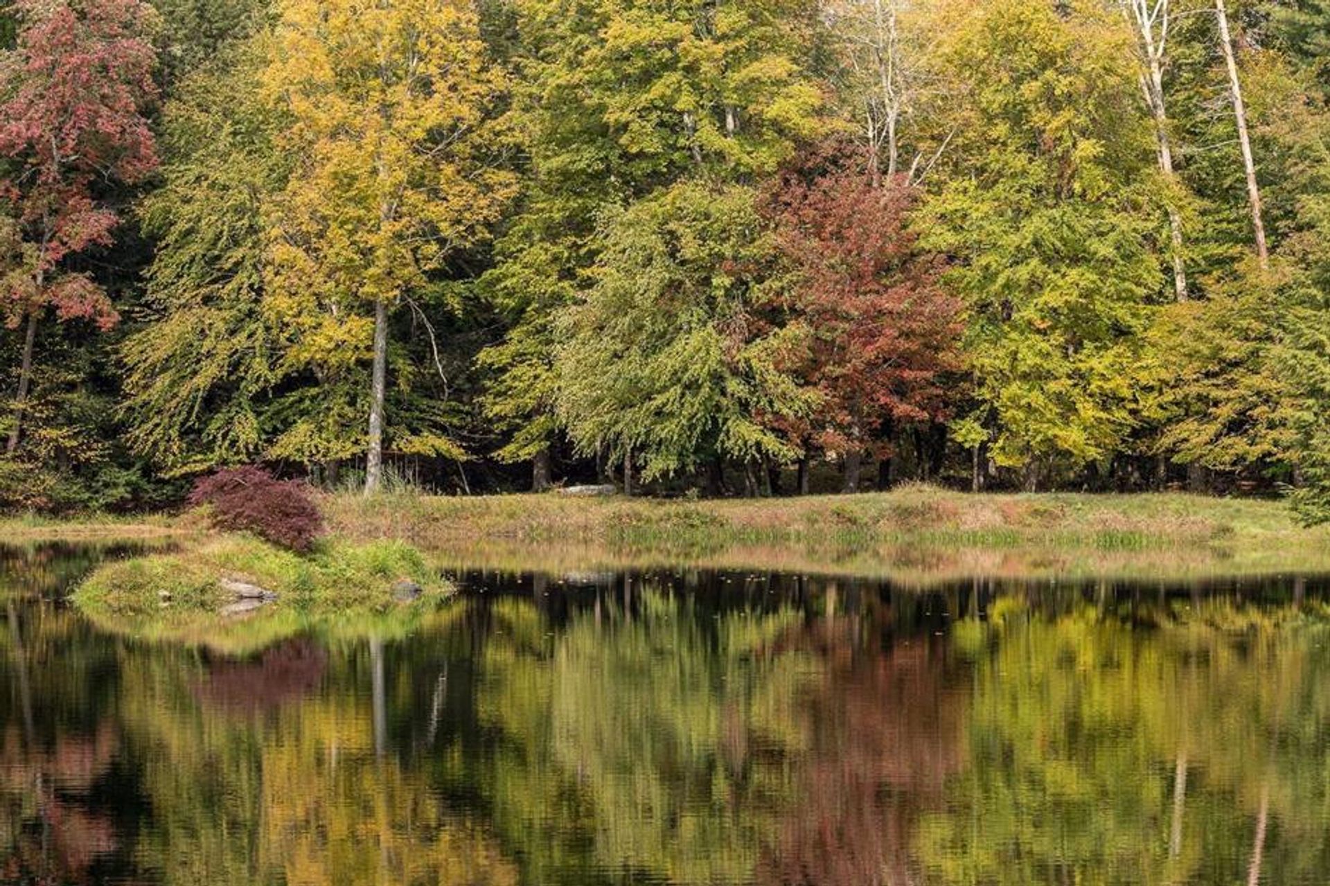 House in Wassaic, New York 10136491