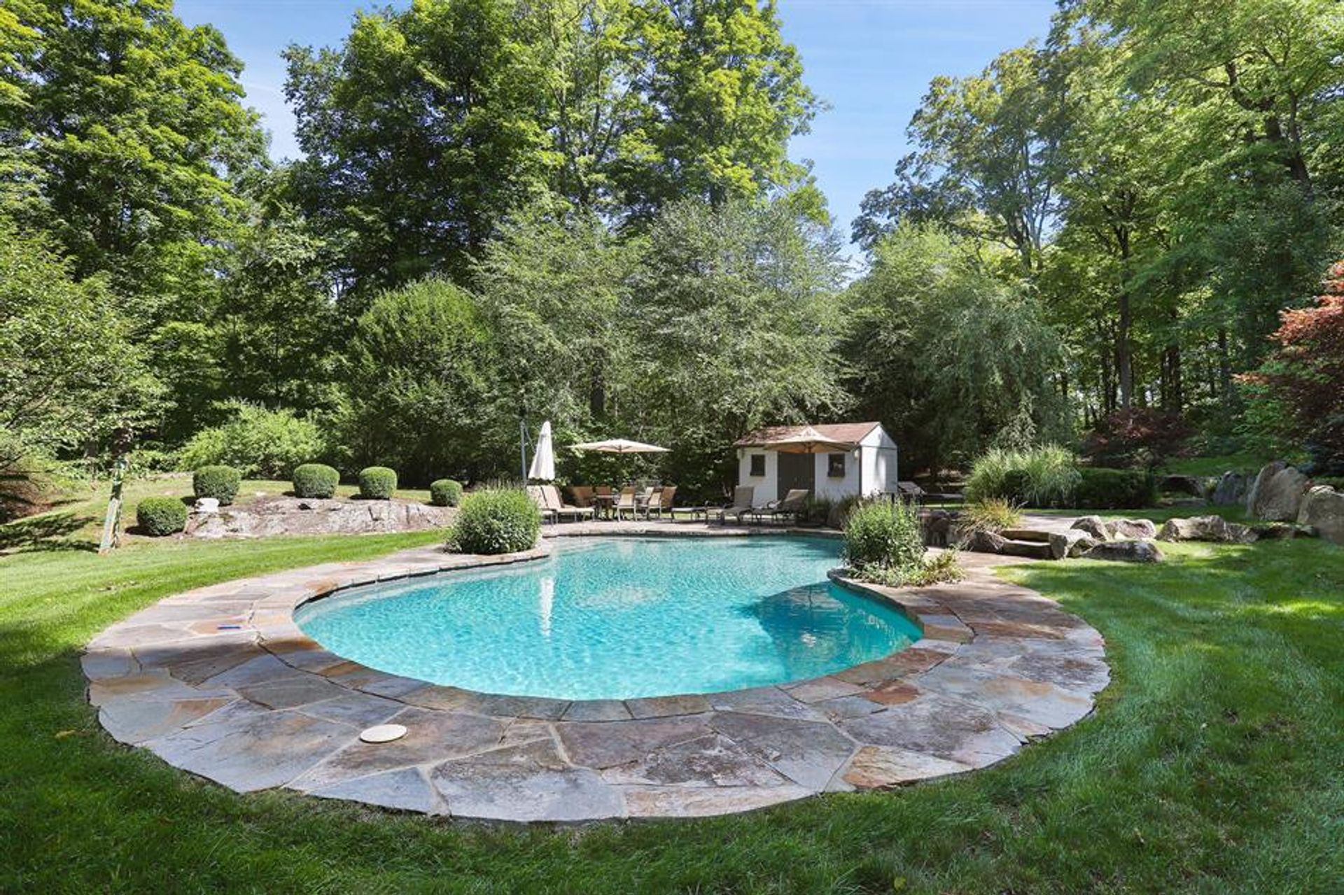 Dom w Mount Kisco, New York 10136500