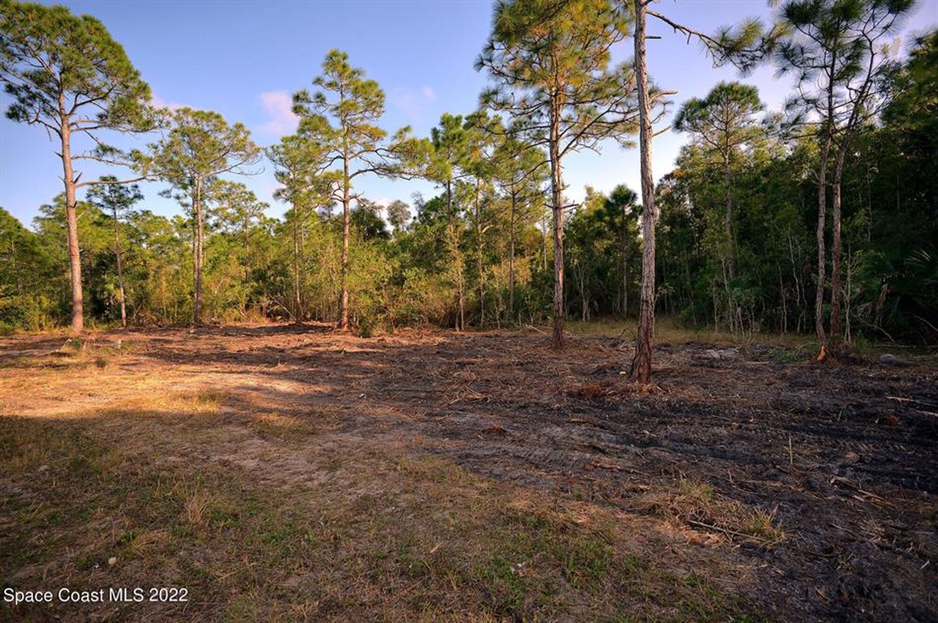 土地 在 Malabar, Florida 10137573