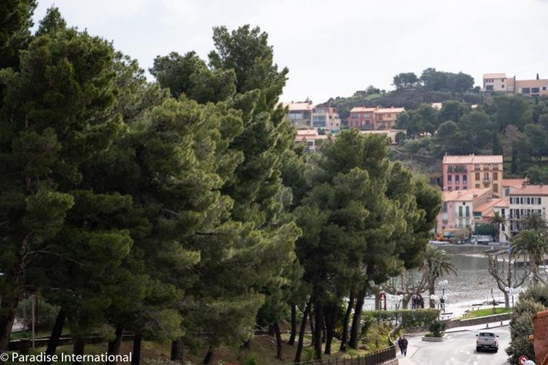 Condominium dans Collioure, Occitanie 10138064