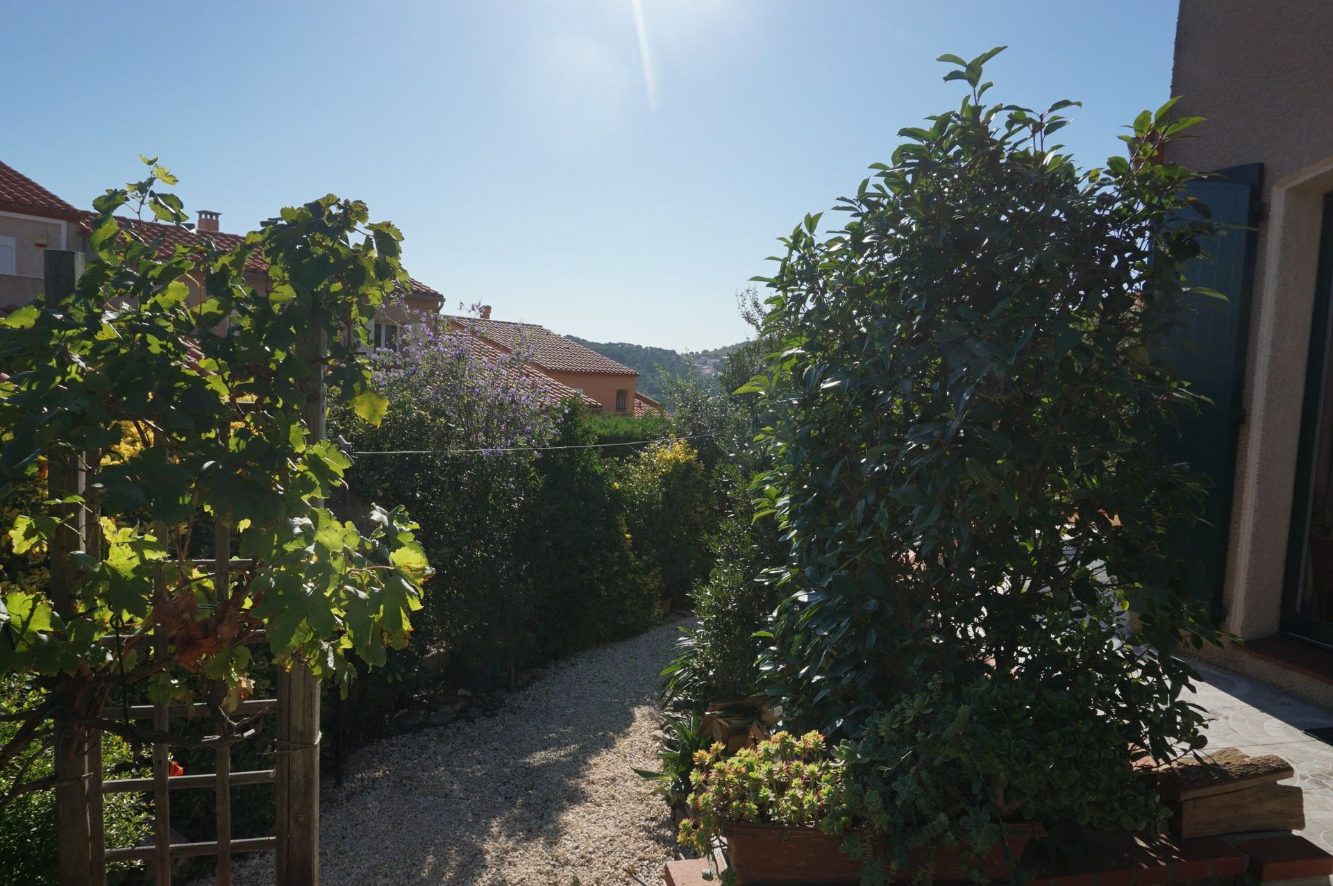 房子 在 Collioure, Occitanie 10138072