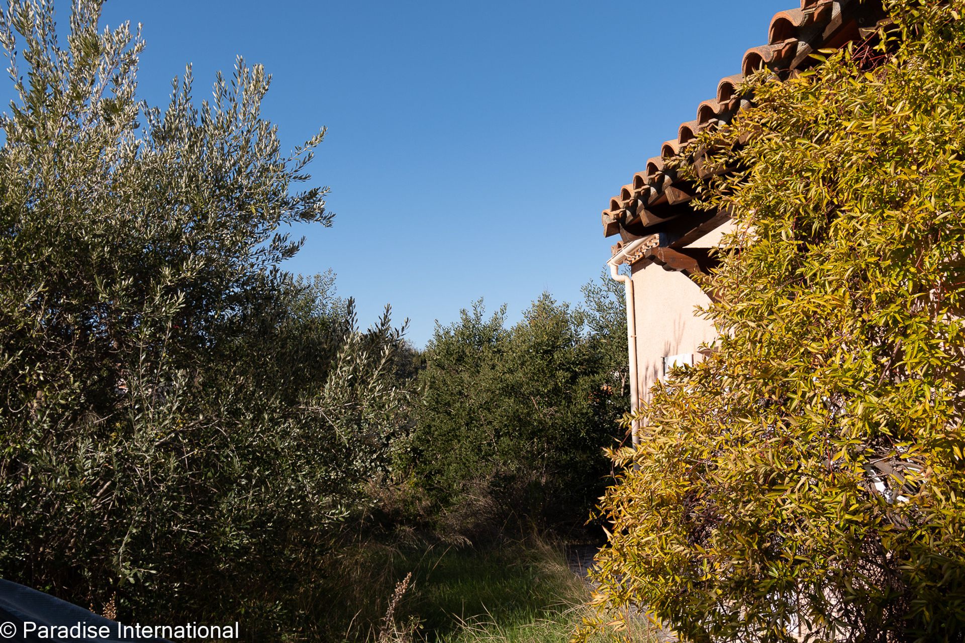 жилой дом в Sorede, Occitanie 10138085