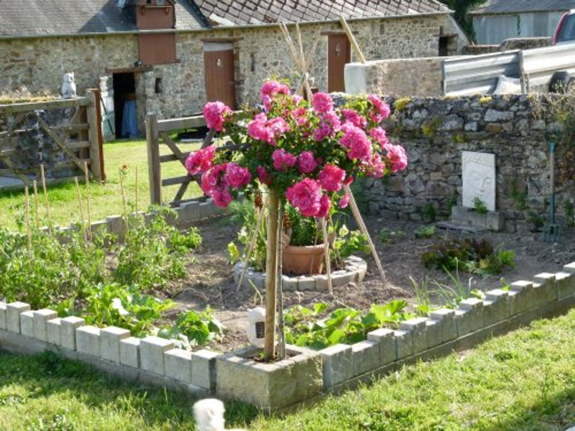 Autre dans Sainte-Suzanne-et-Chammes, Pays de la Loire 10138116